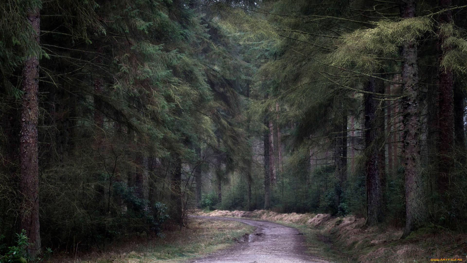 природа, дороги, простор