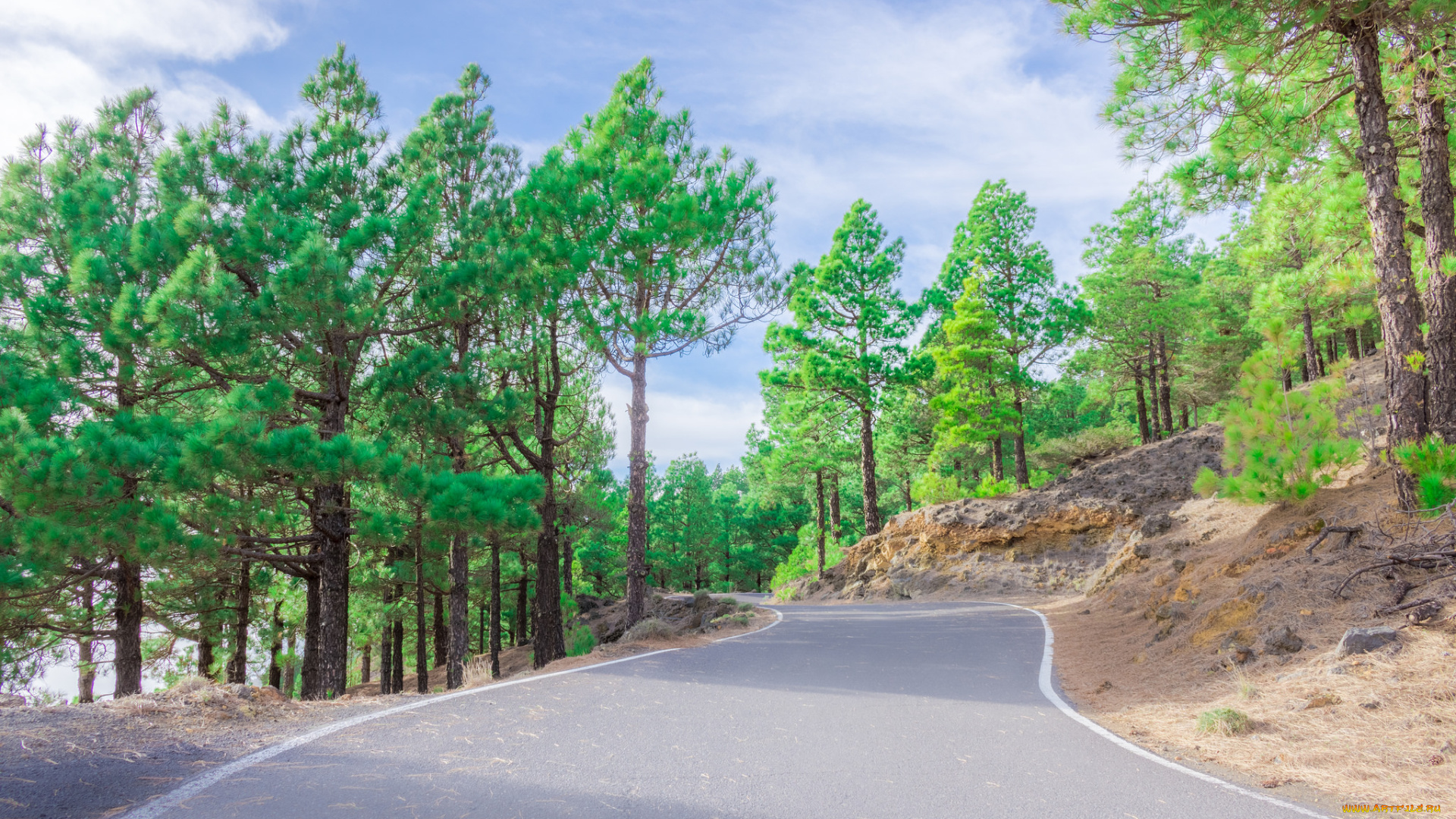 природа, дороги, простор