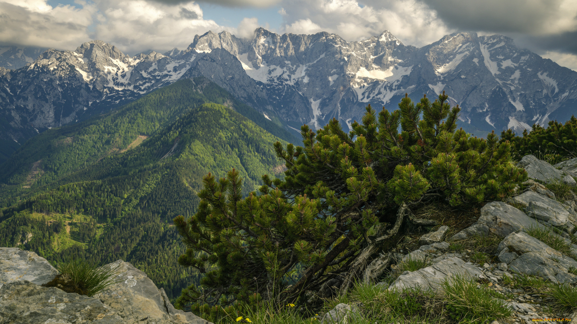 природа, горы, простор