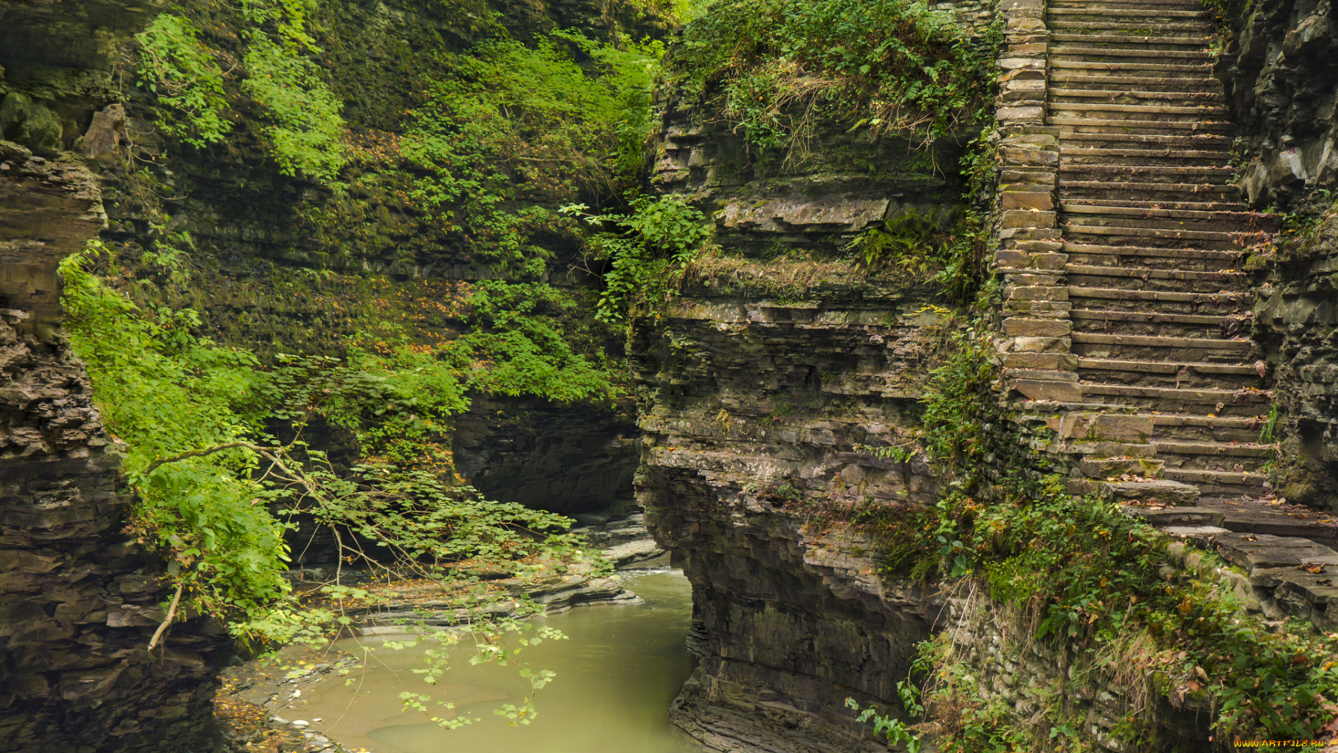 природа, реки, озера, простор