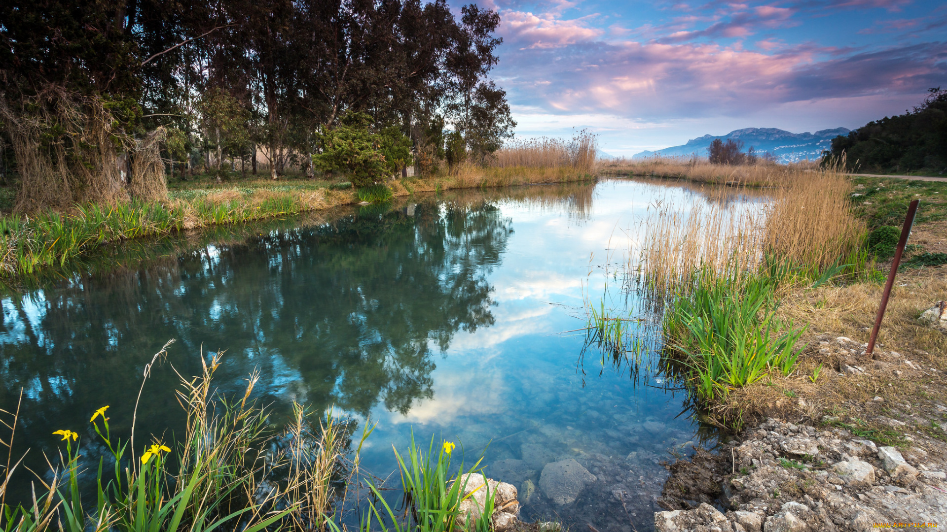 природа, реки, озера, простор