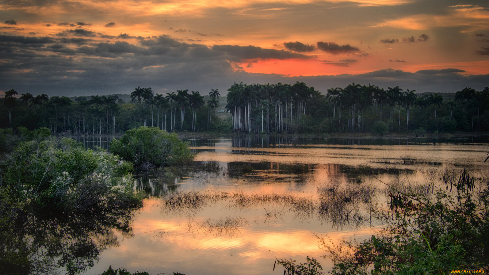 природа, реки, озера, простор