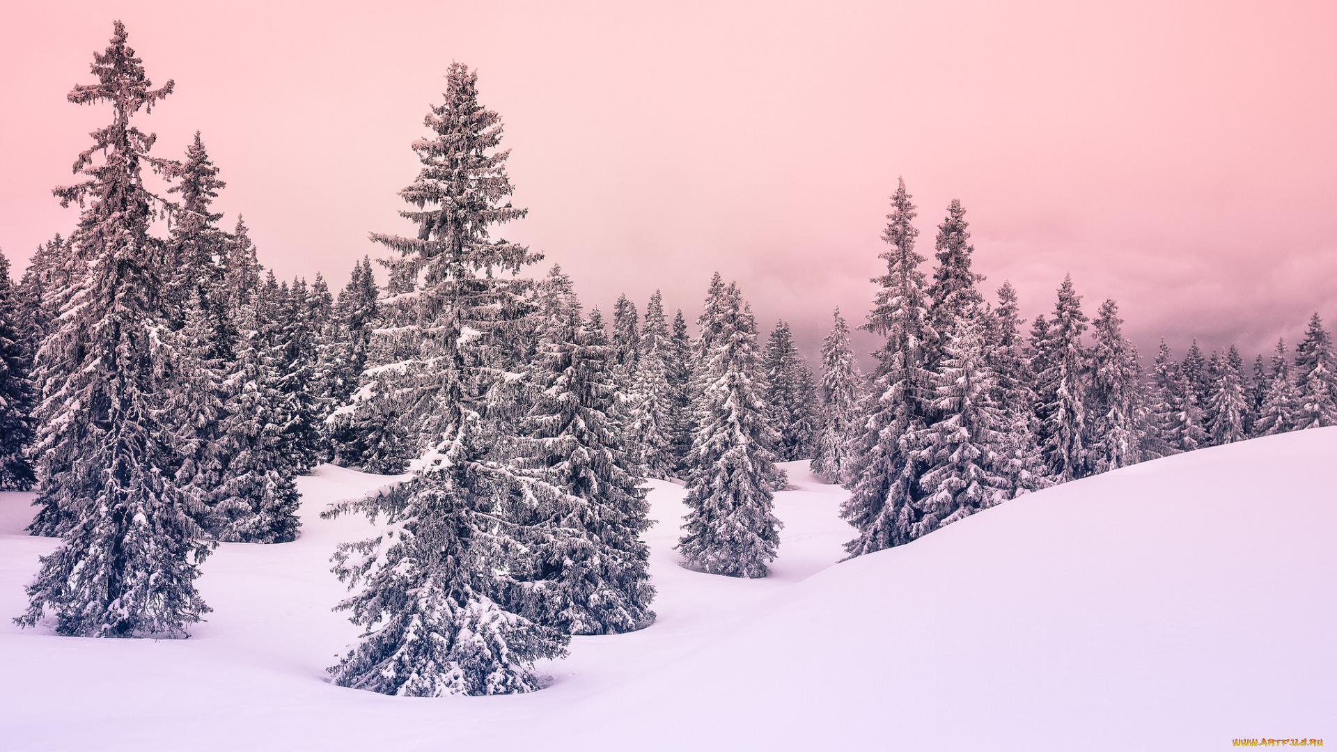 природа, зима, простор