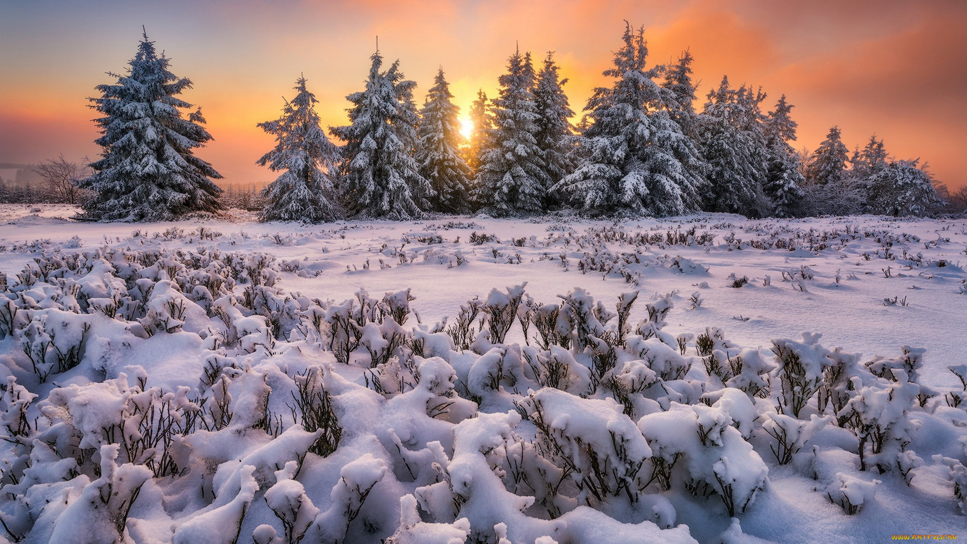 природа, зима, простор