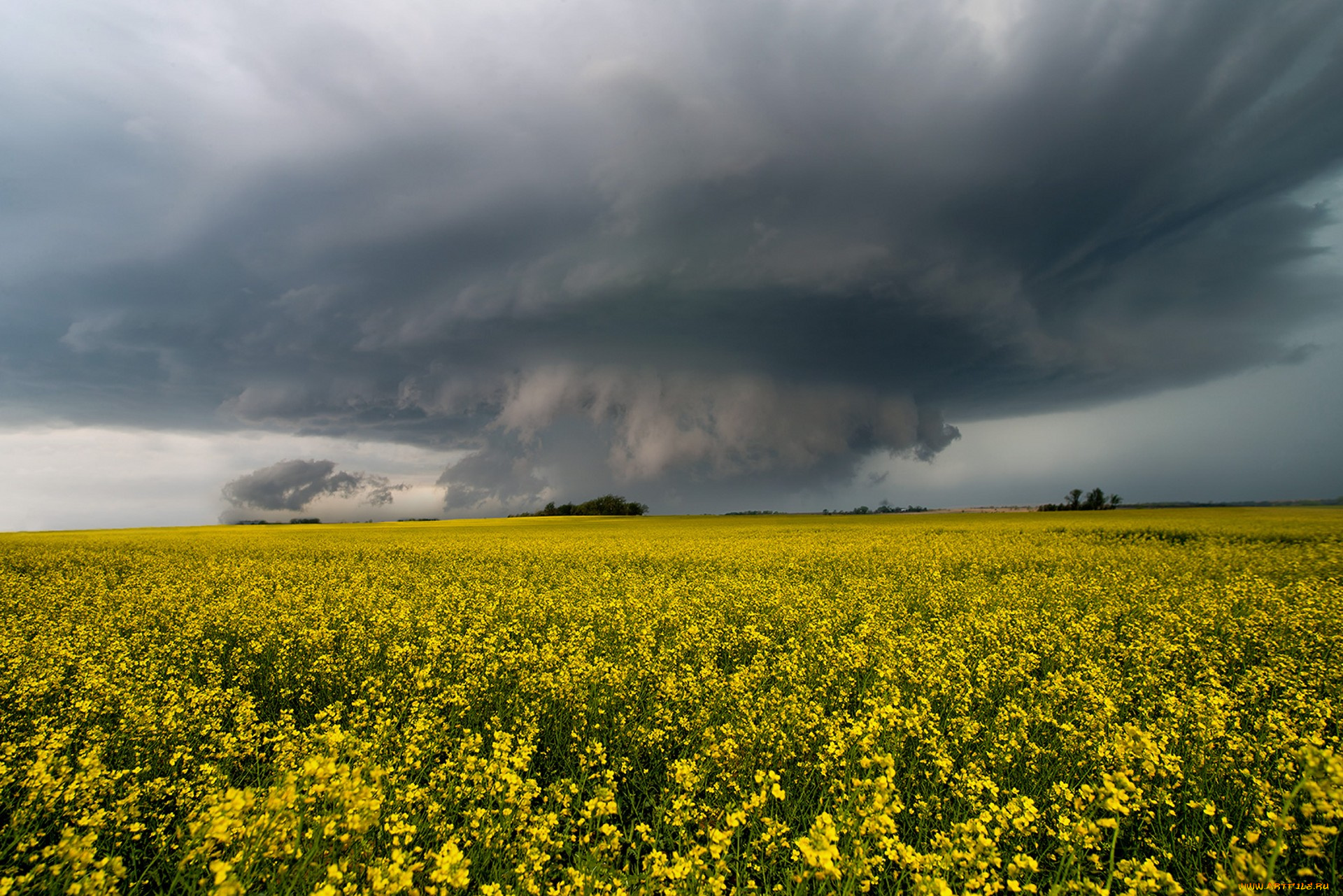 природа, стихия, простор