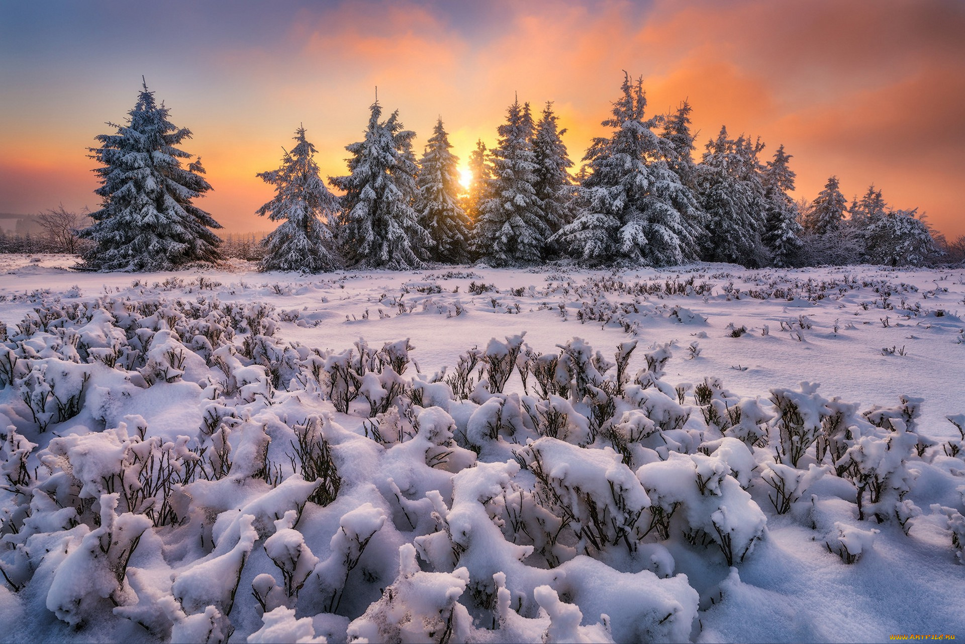 природа, зима, простор