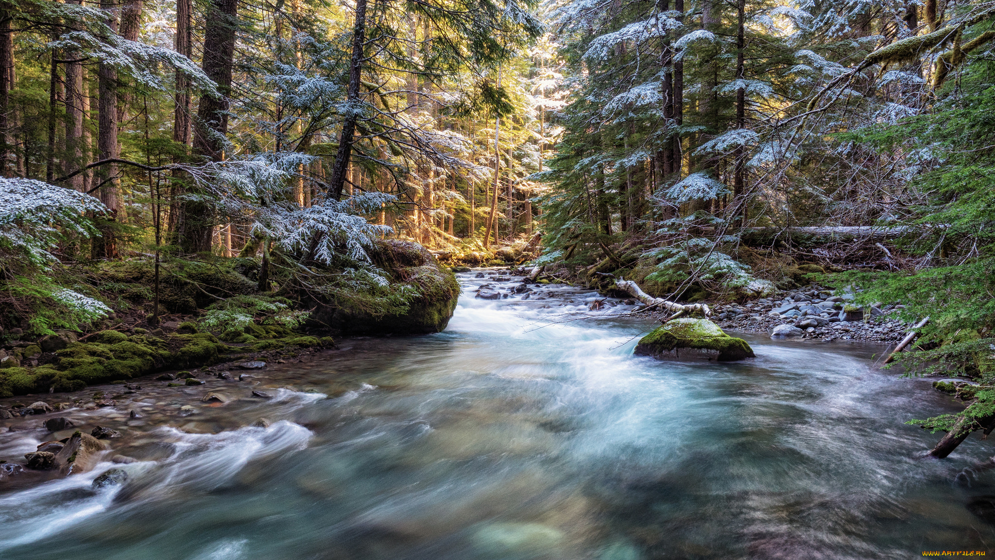 природа, реки, озера, простор