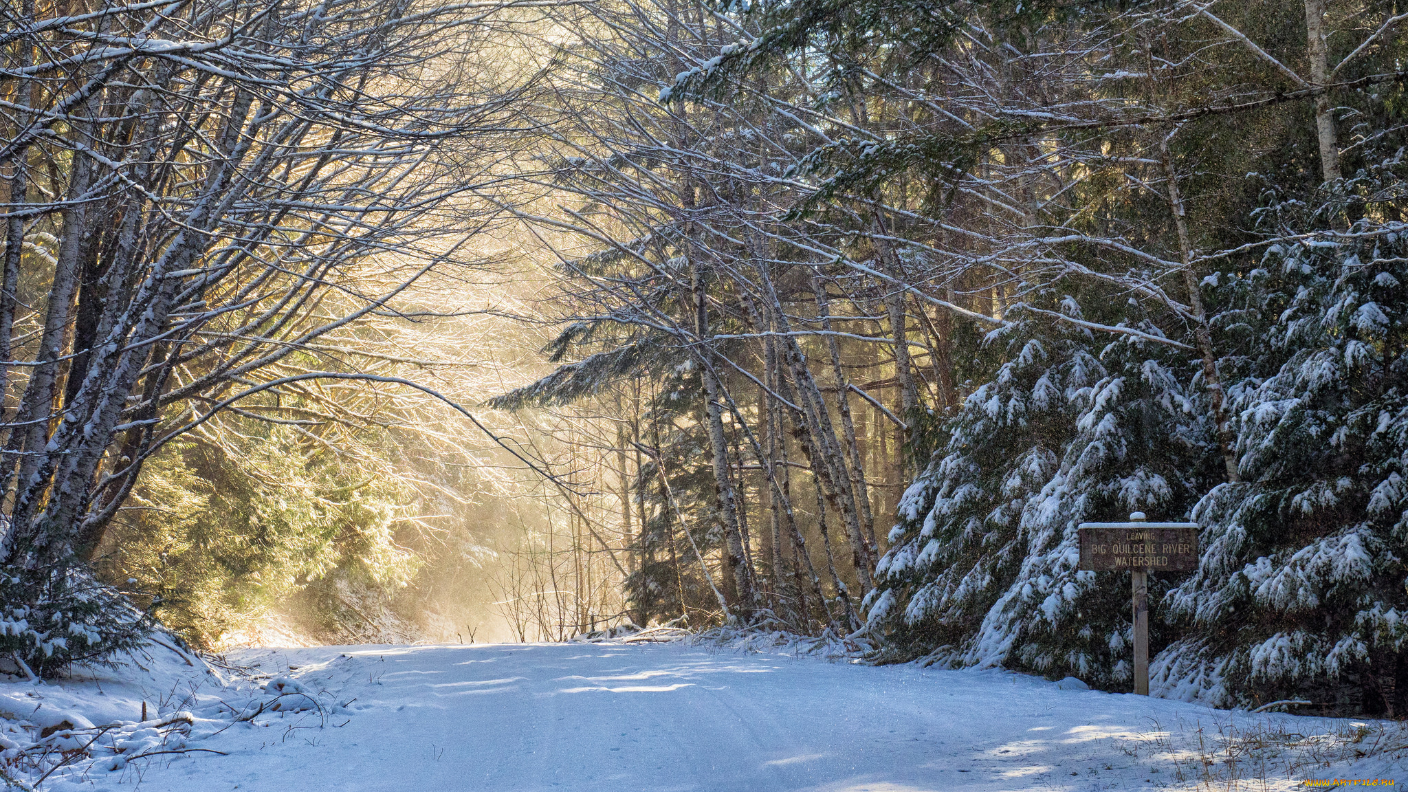 природа, зима, простор