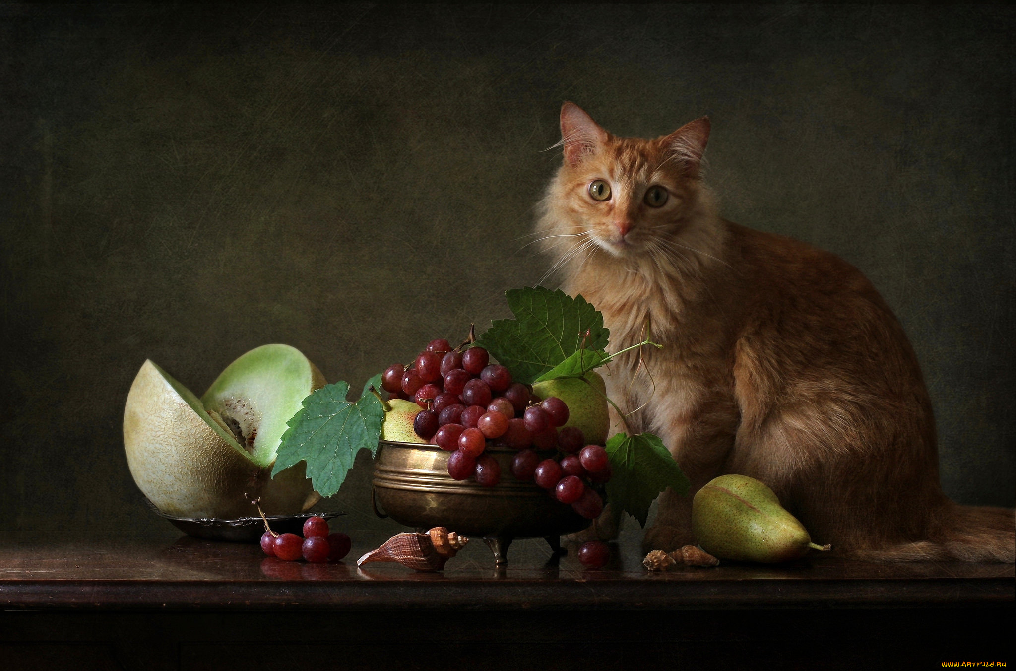 еда, натюрморт, снедь