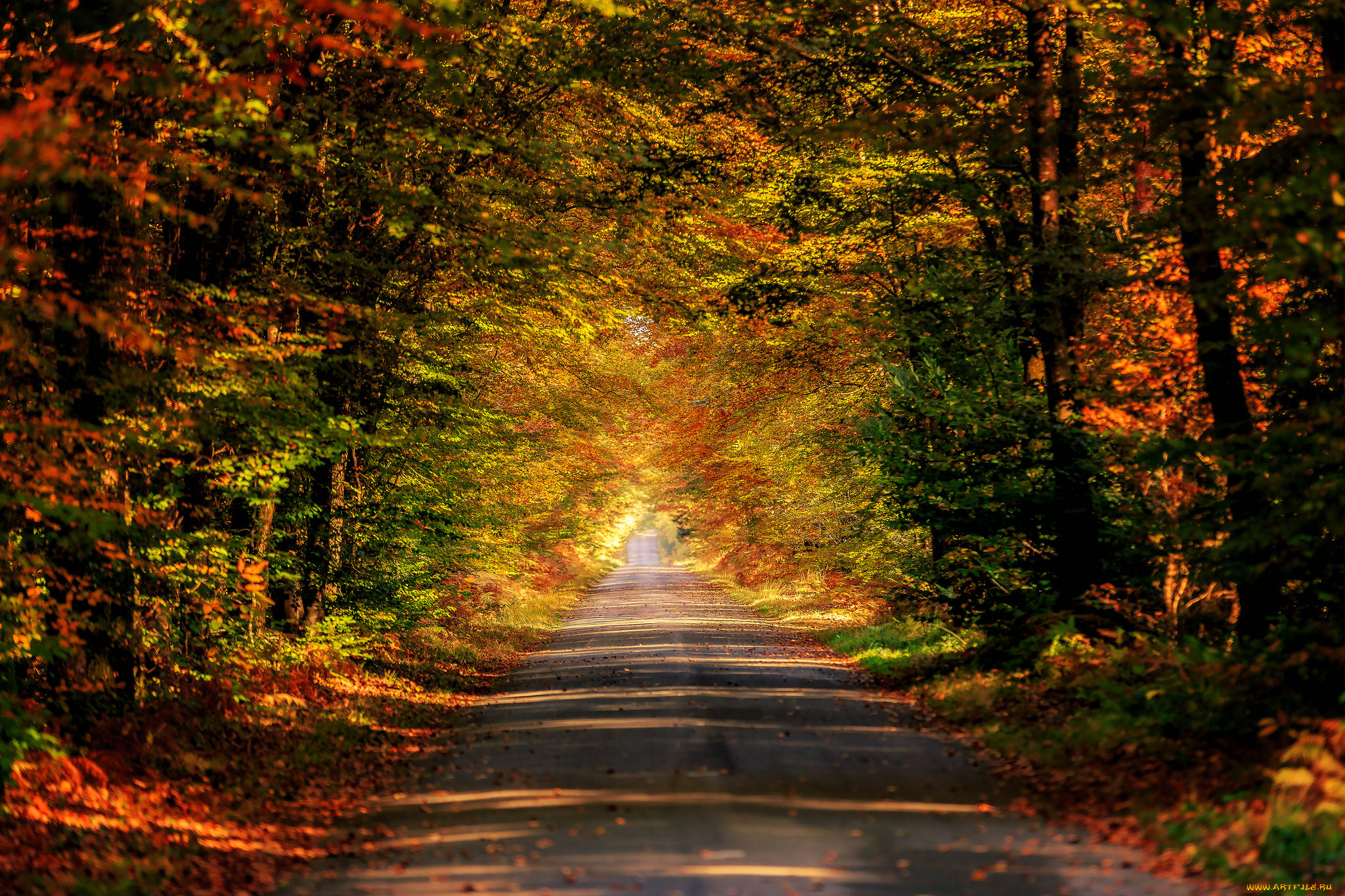 природа, дороги, простор