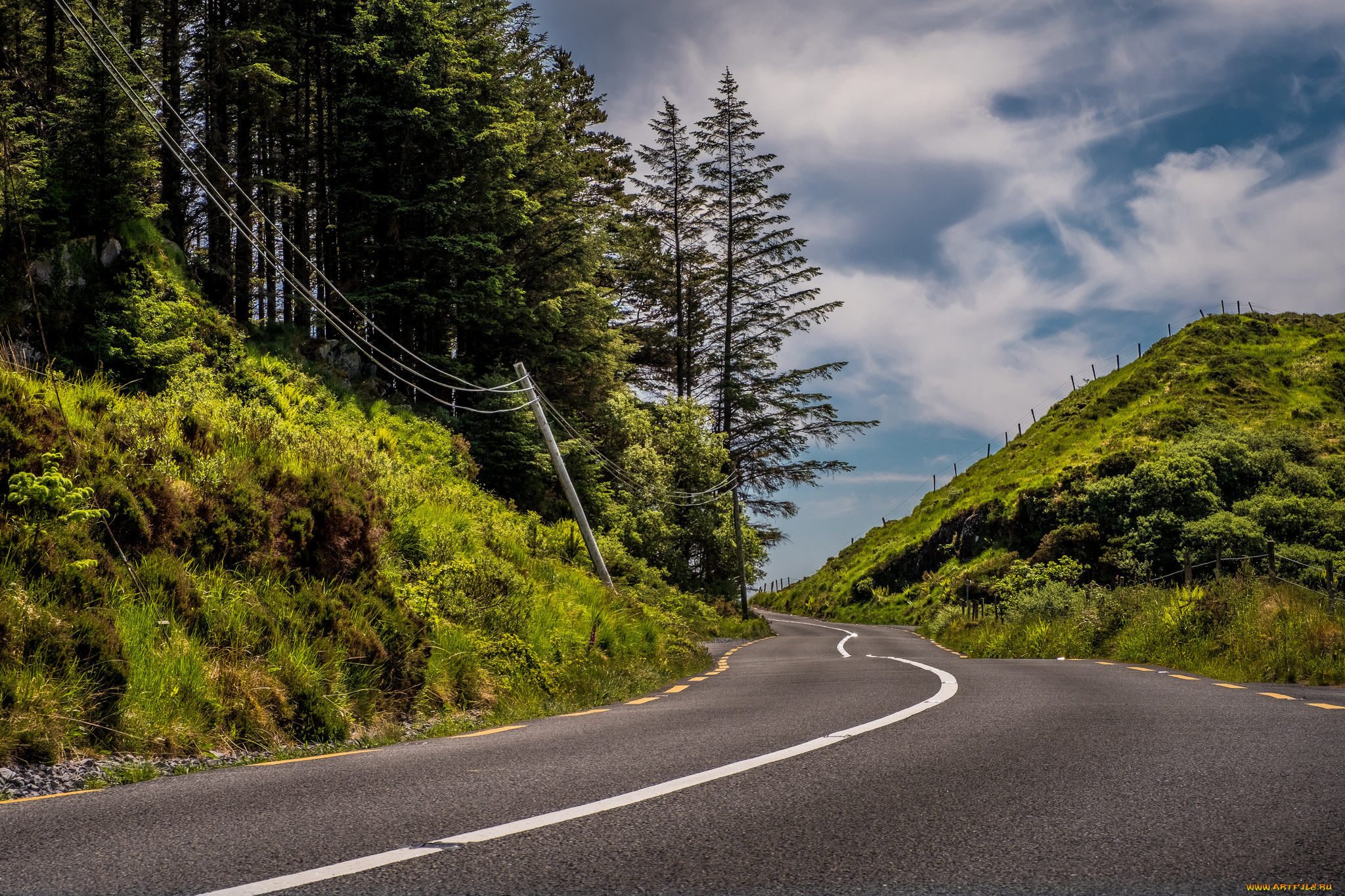 природа, дороги, простор