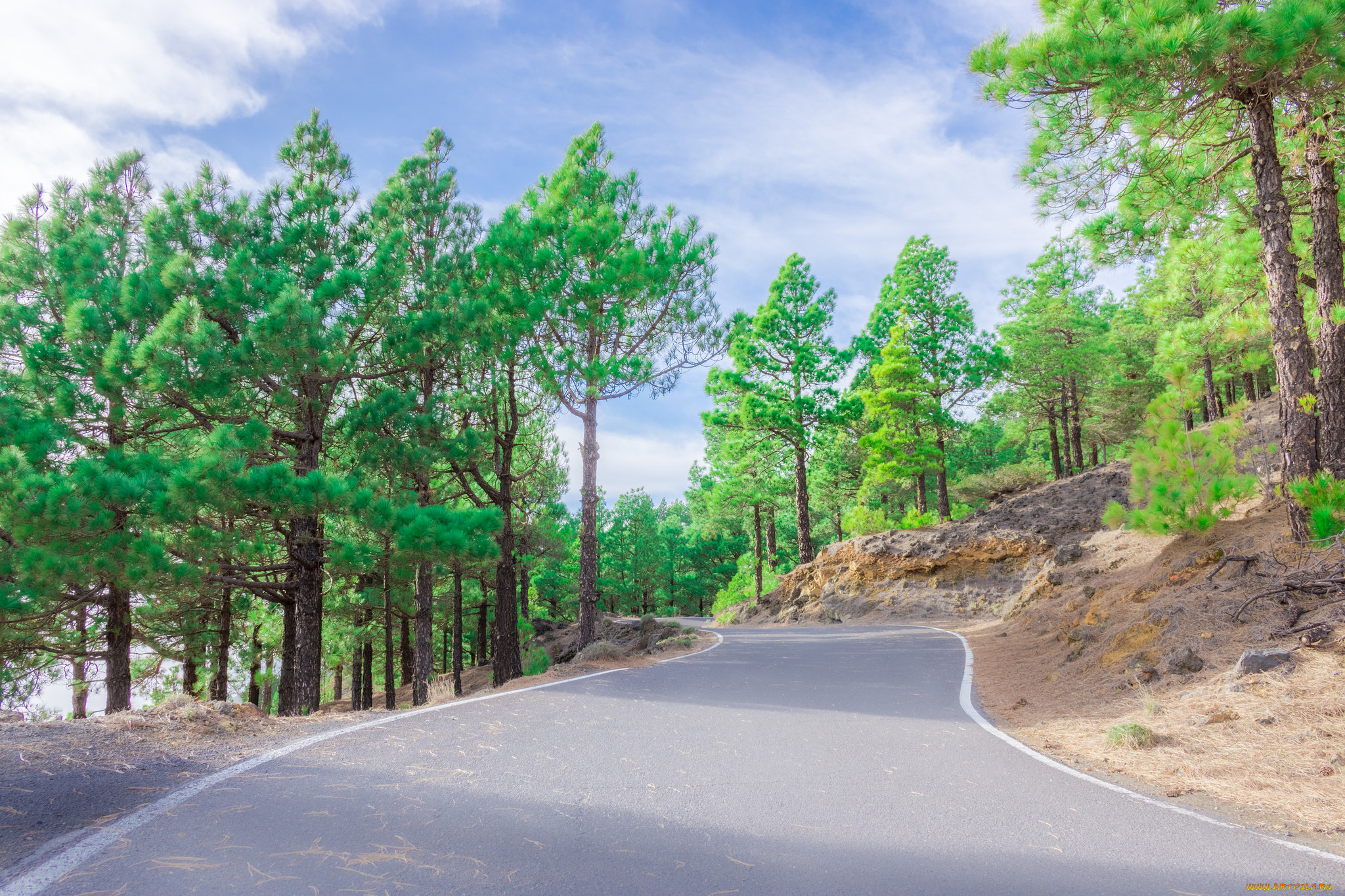 природа, дороги, простор