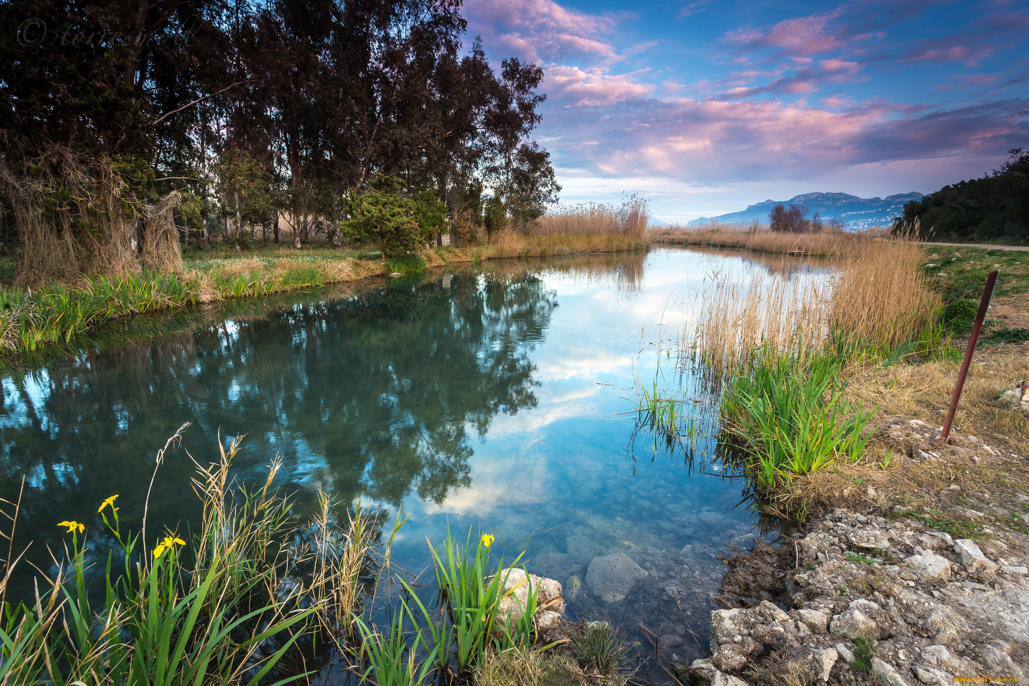 природа, реки, озера, простор