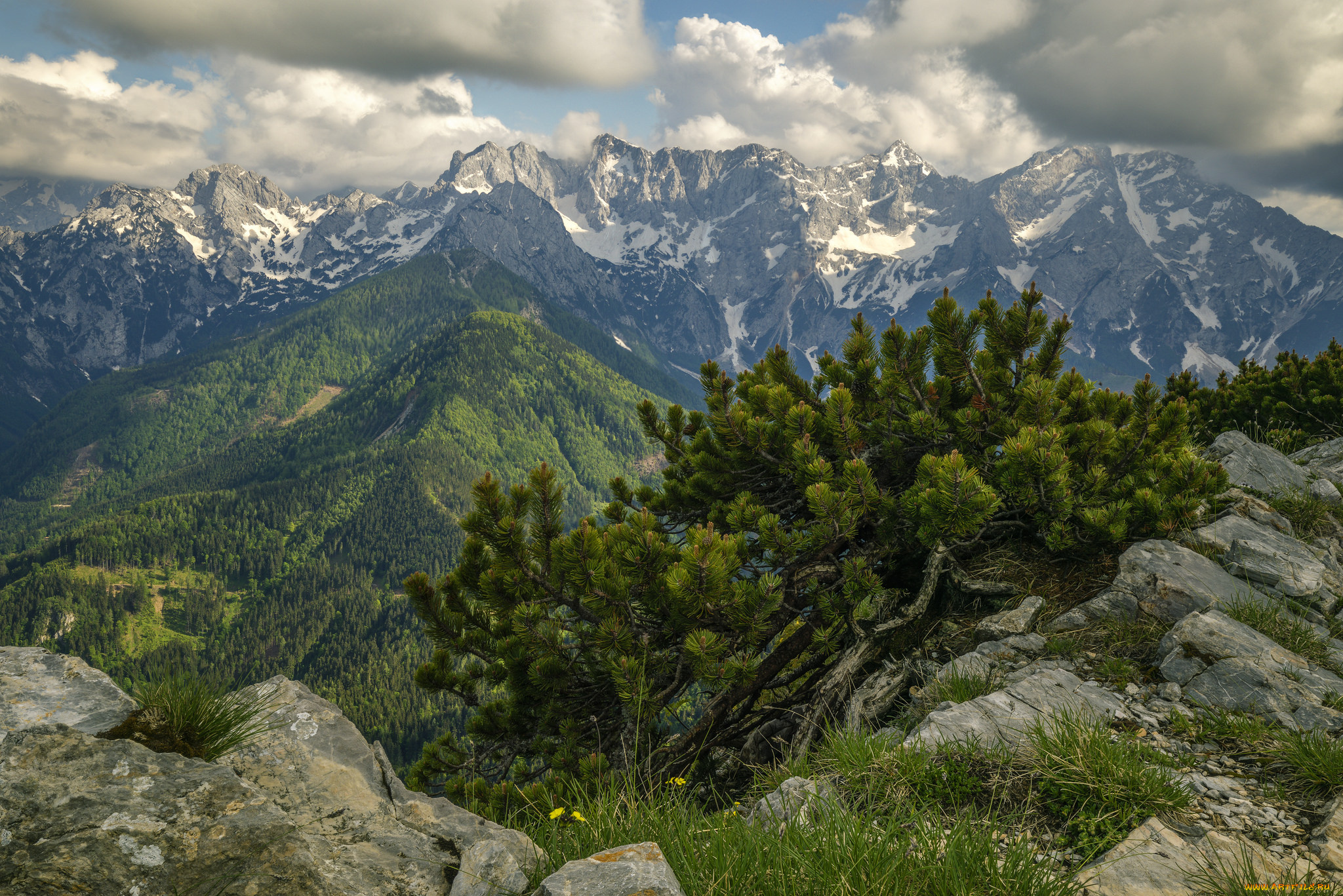 природа, горы, простор