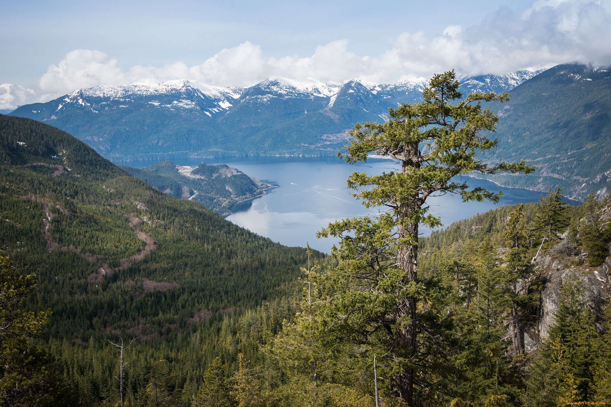 природа, реки, озера, простор