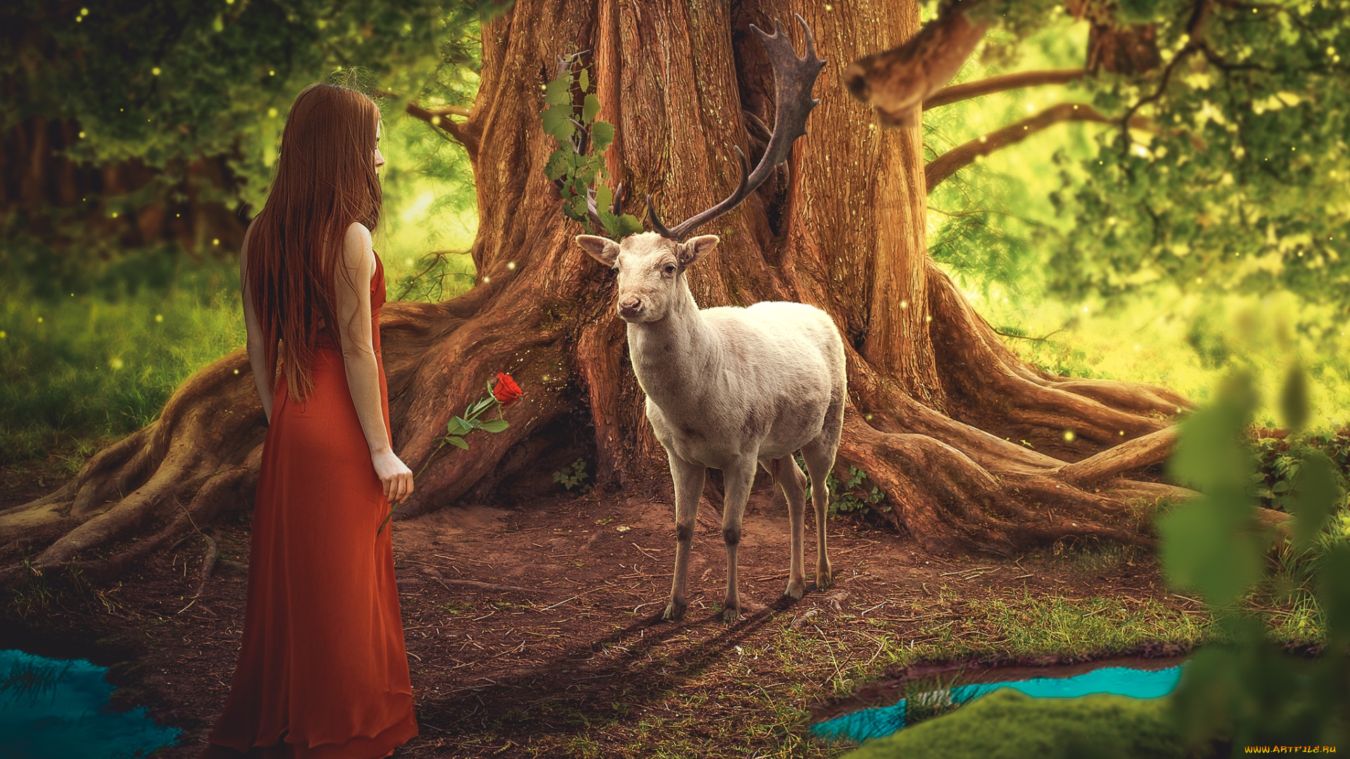 фэнтези, фотоарт, сказочный, лес, девушка, с, розой, олень