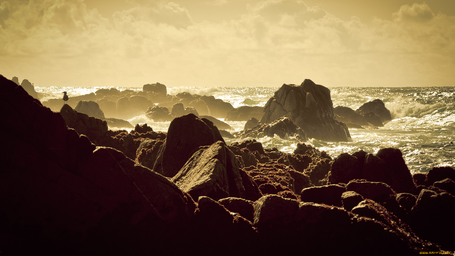 природа, побережье, камни, чайка, прибой, скалы, море