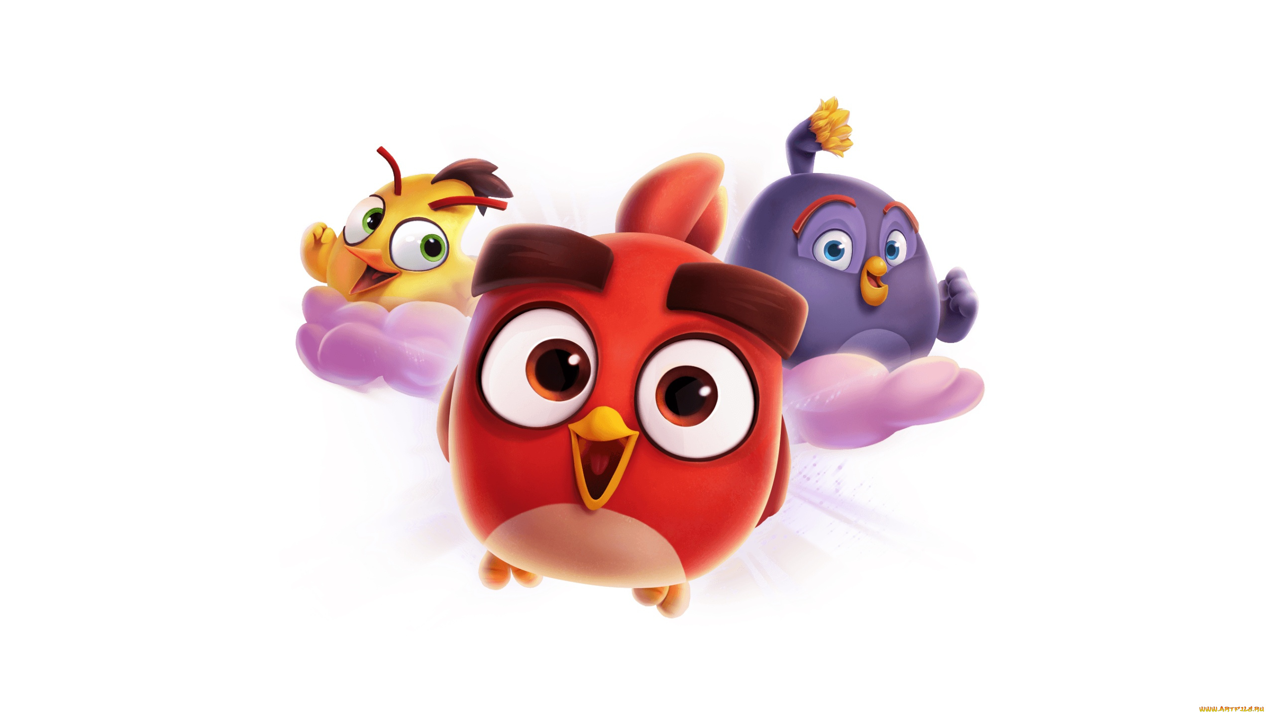 angry, birds, dream, blast, видео, игры, angry, birds, , dream, blast, птицы, обои, игра, картинки, белый, фон, wallpaper, angry, birds, на, рабочий, стол, rovio, дисплея, dream, blast