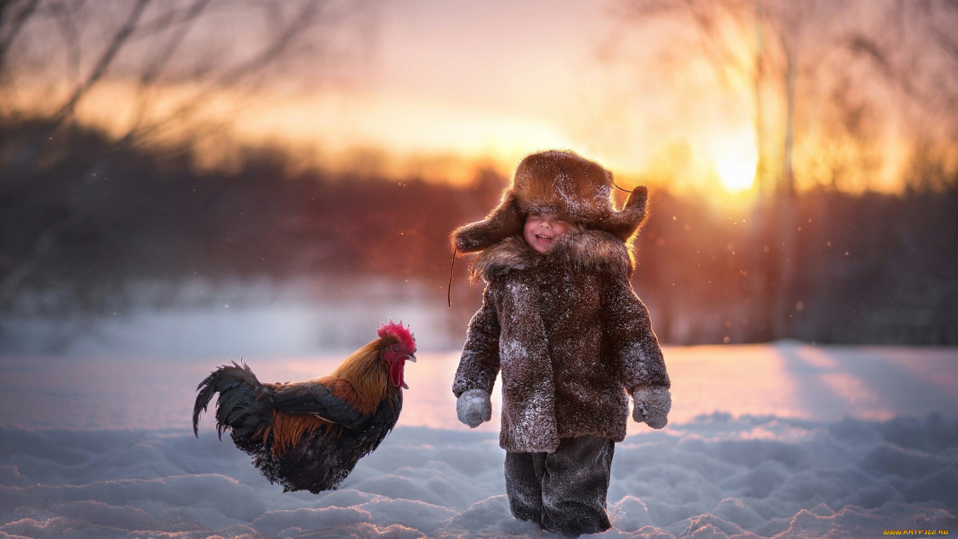 разное, дети, ребенок, шуба, снег, петух
