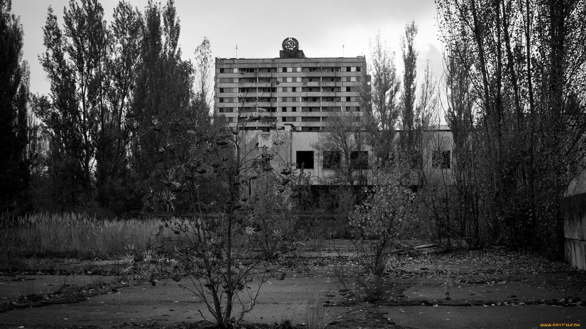 город, города, -, другое, припять, украина