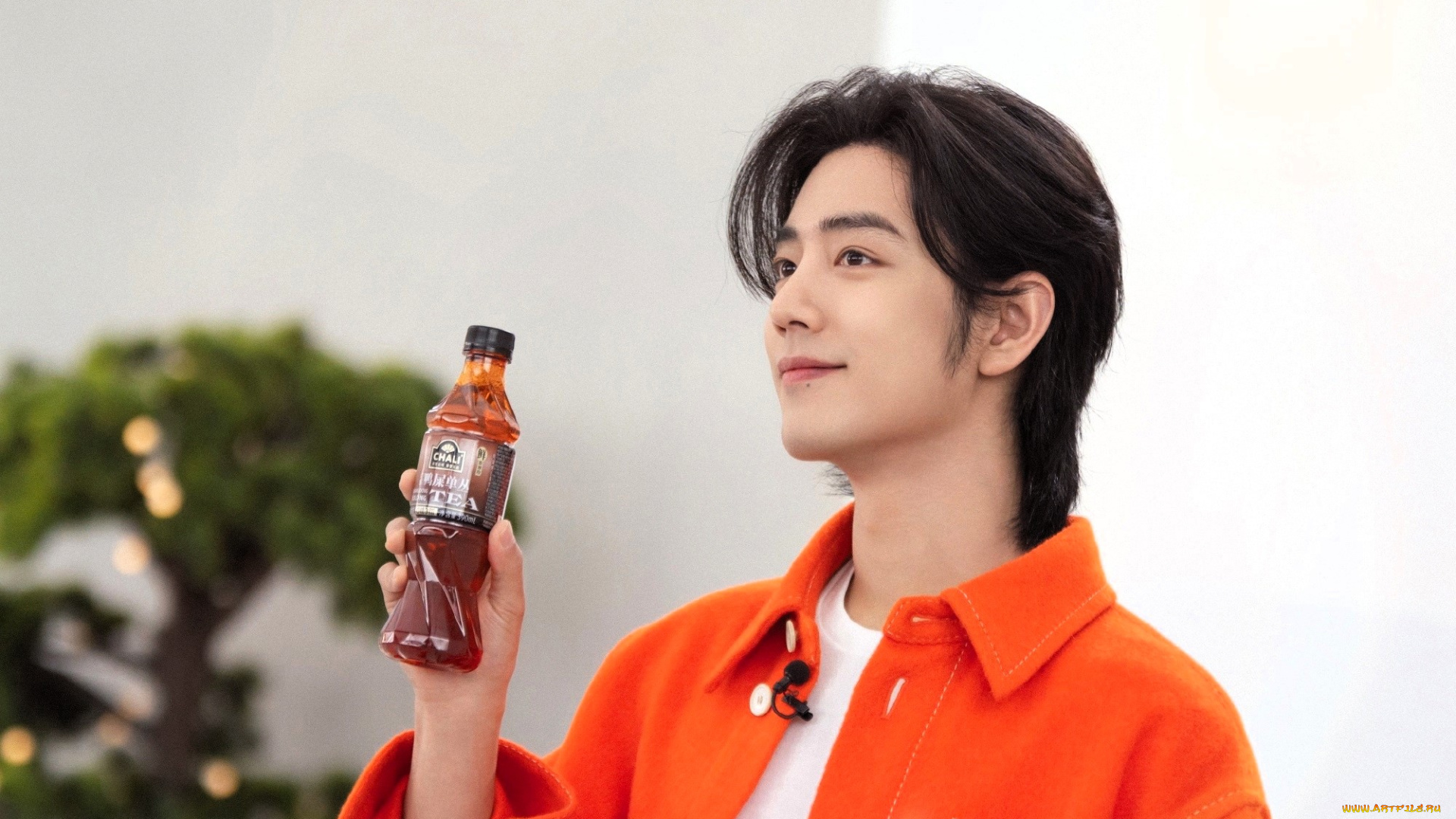 мужчины, xiao, zhan, актер, пиджак, бутылка