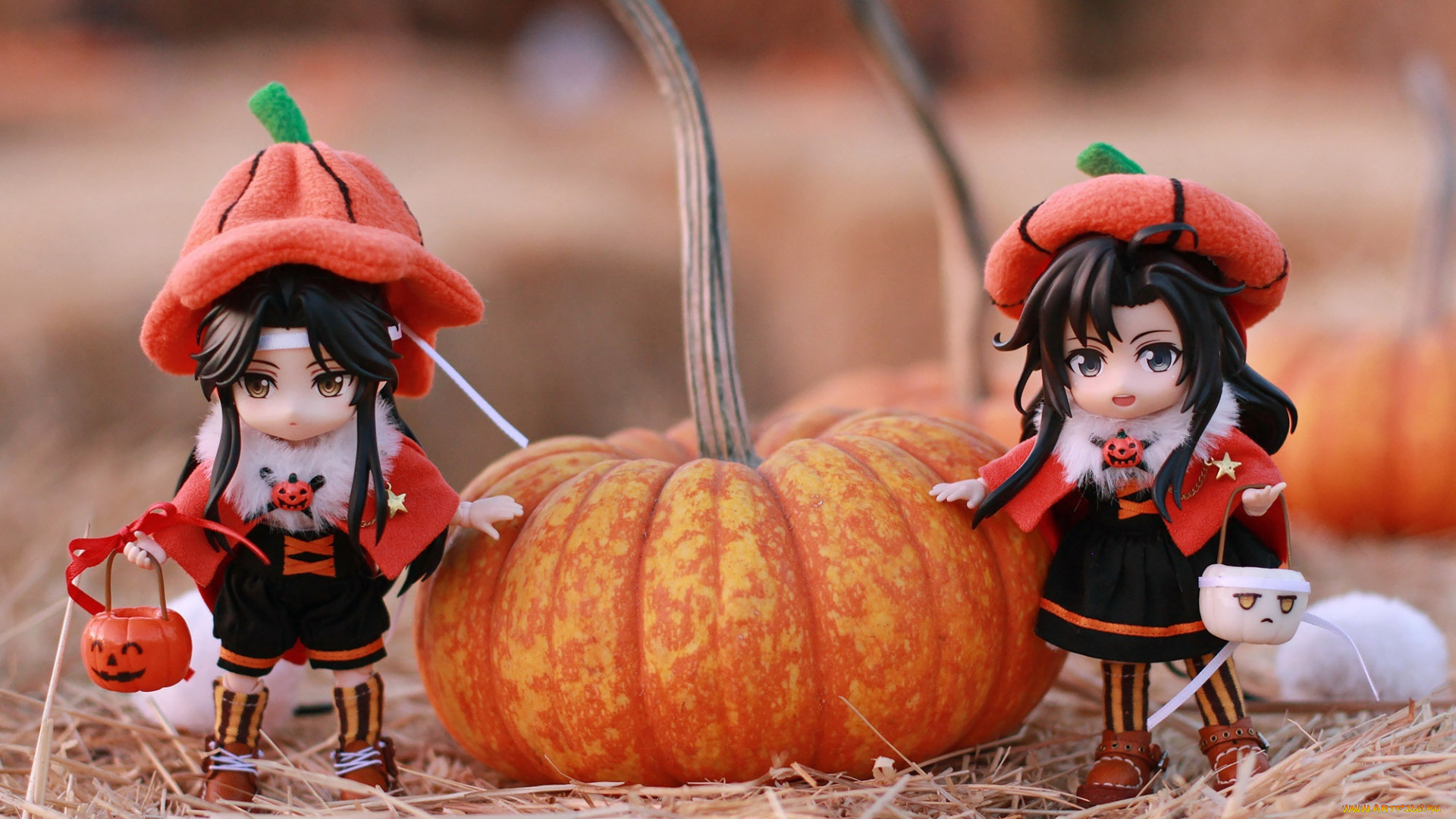 разное, куклы, вэй, усянь, лань, ванцзи, тыквы