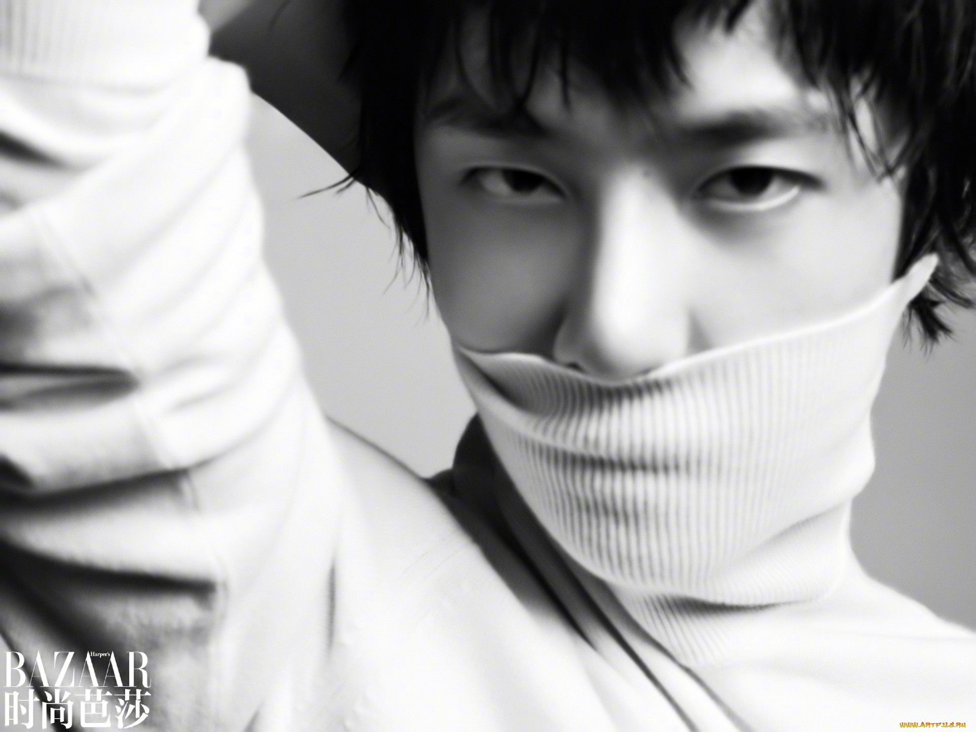 мужчины, wang, yi, bo, актер, лицо, свитер