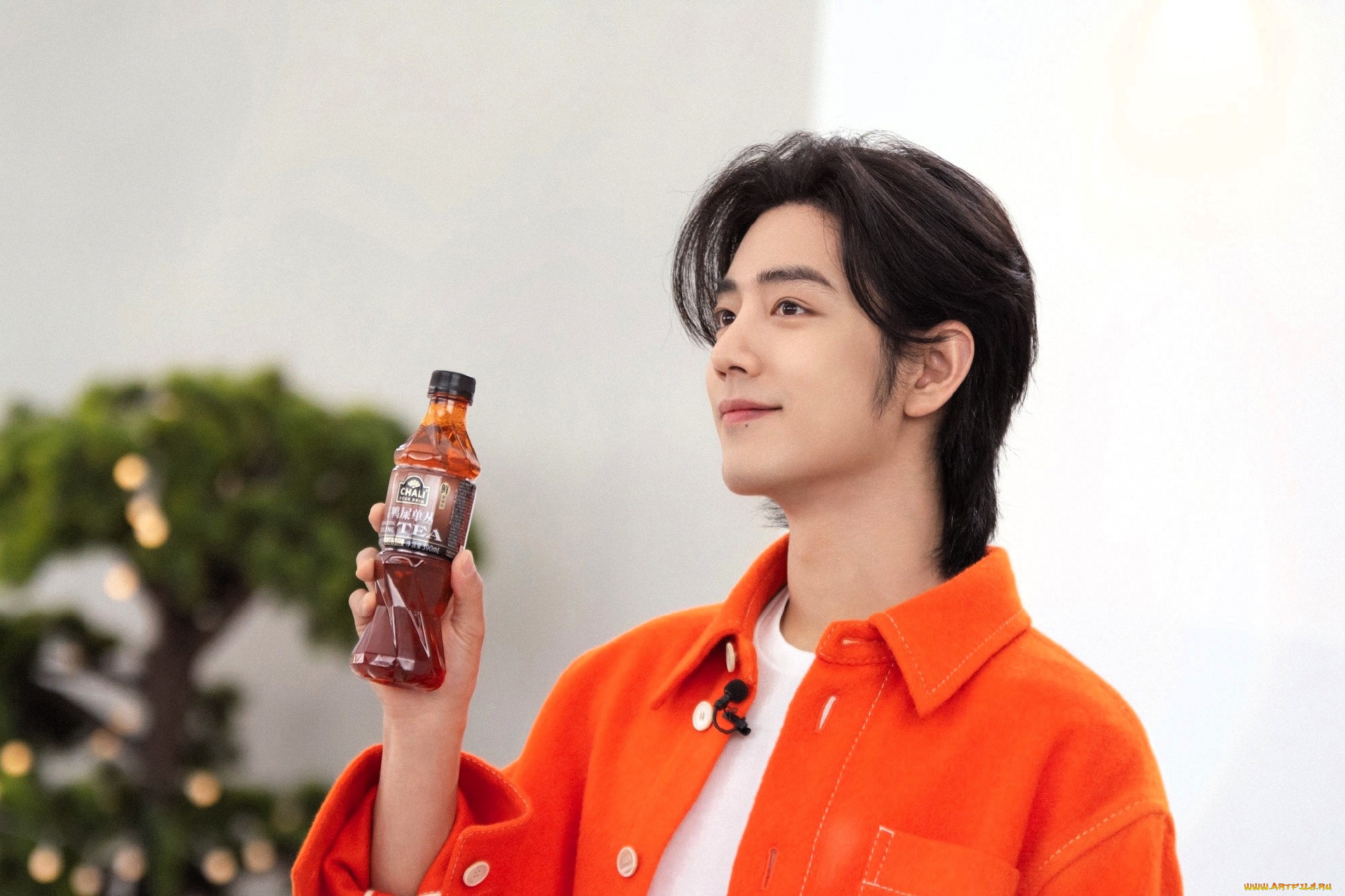 мужчины, xiao, zhan, актер, пиджак, бутылка