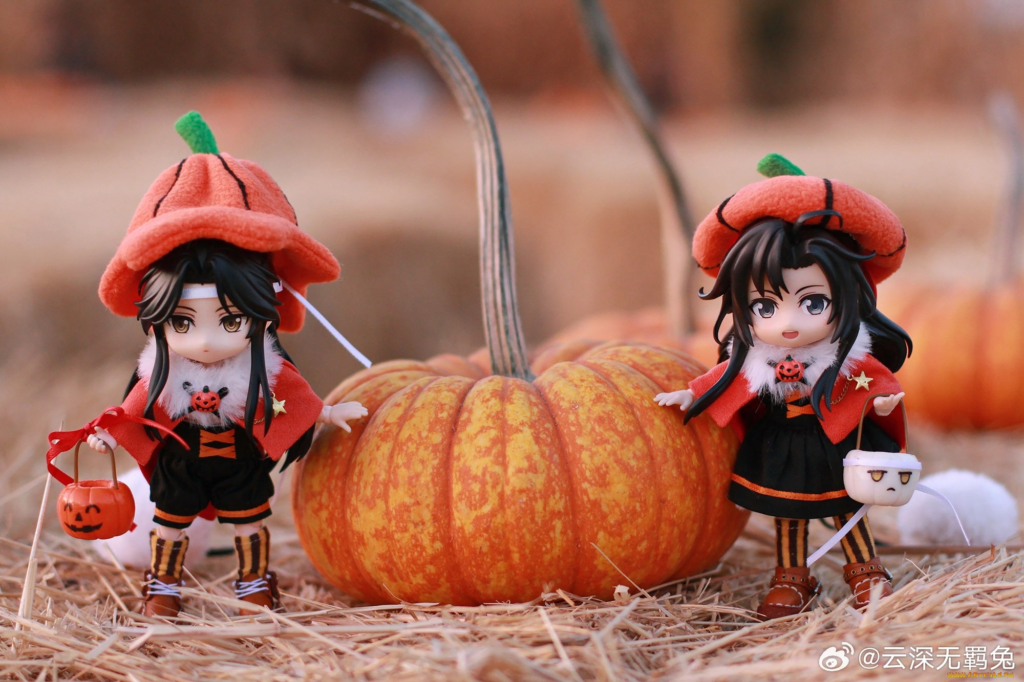 разное, куклы, вэй, усянь, лань, ванцзи, тыквы