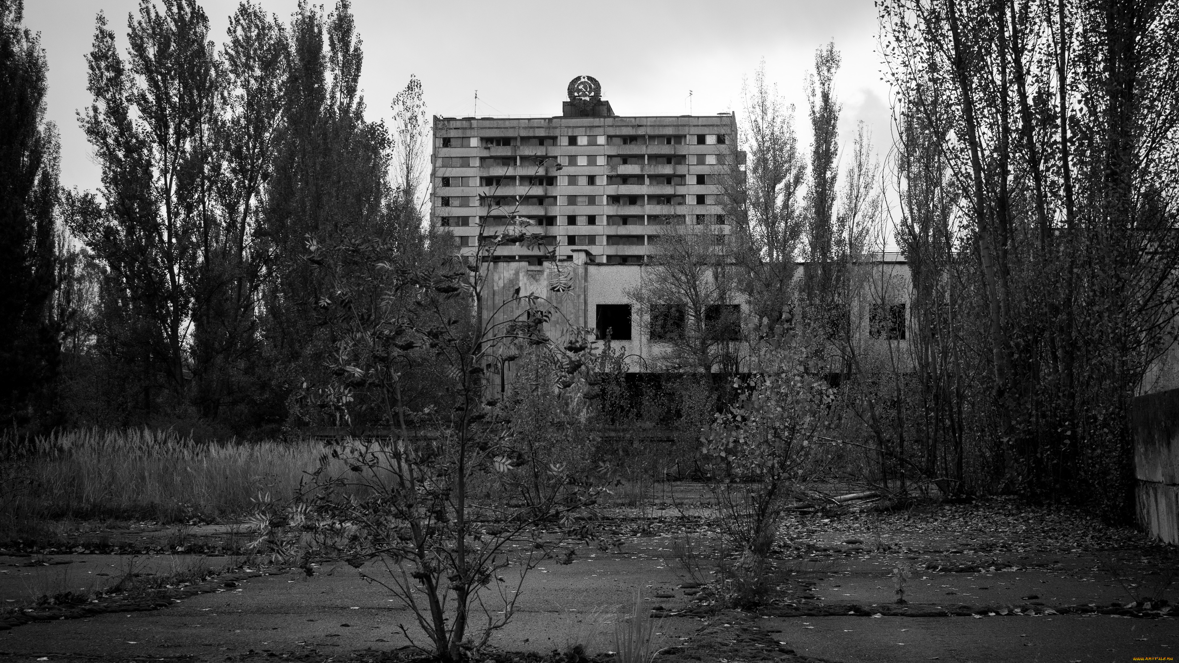 город, города, -, другое, припять, украина