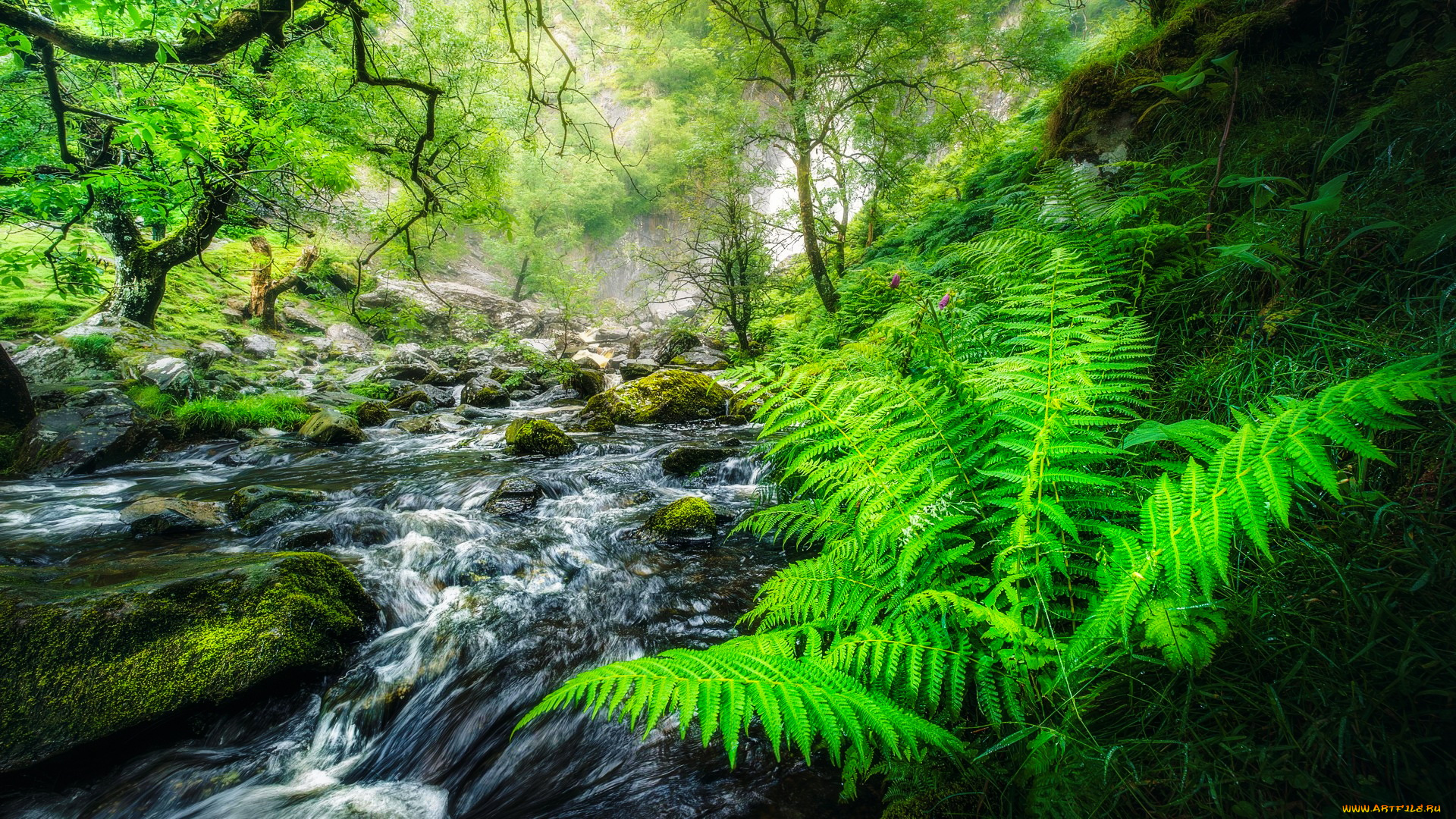 aber, falls, wales, природа, водопады, aber, falls
