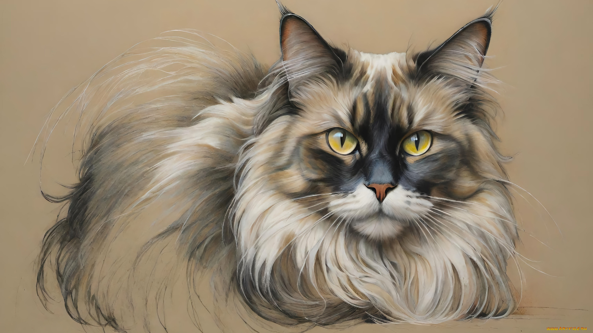 рисованное, животные, , коты, кот, кошка