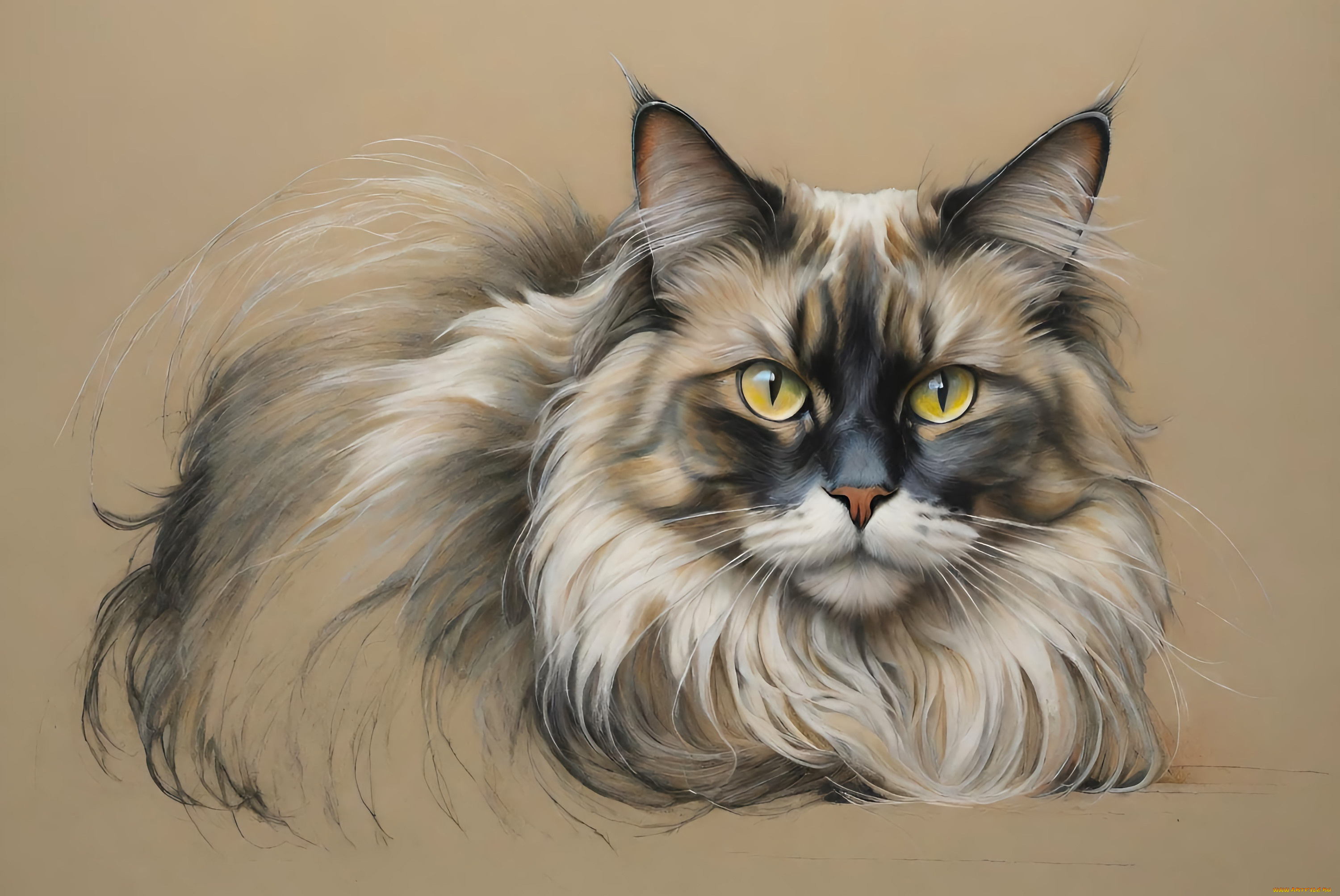 рисованное, животные, , коты, кот, кошка