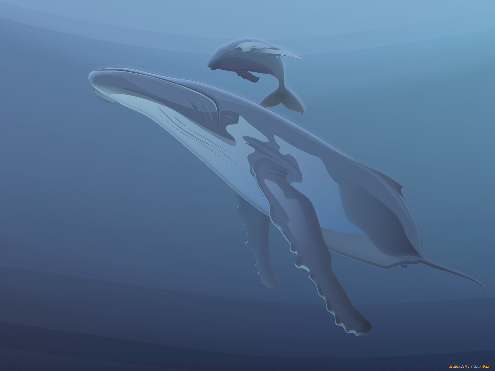 векторная, графика