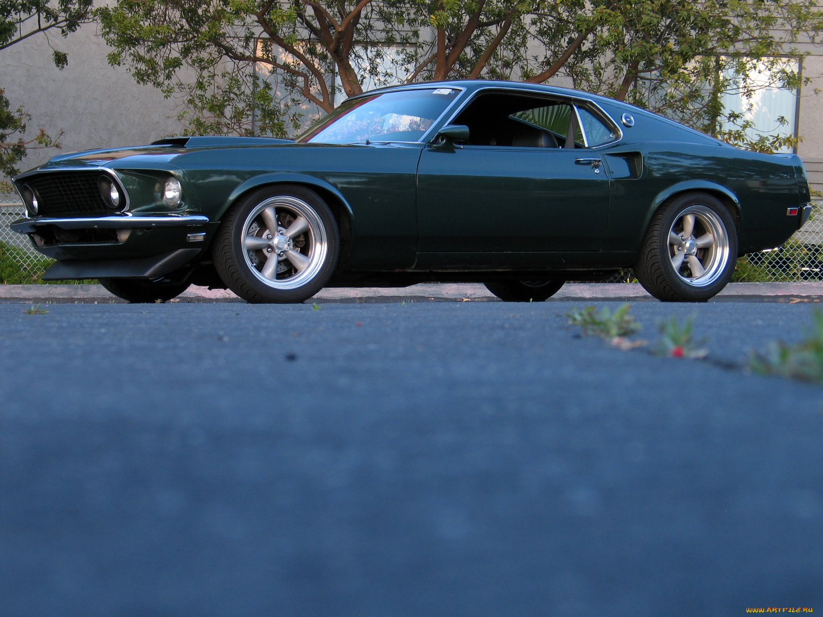 автомобили, mustang