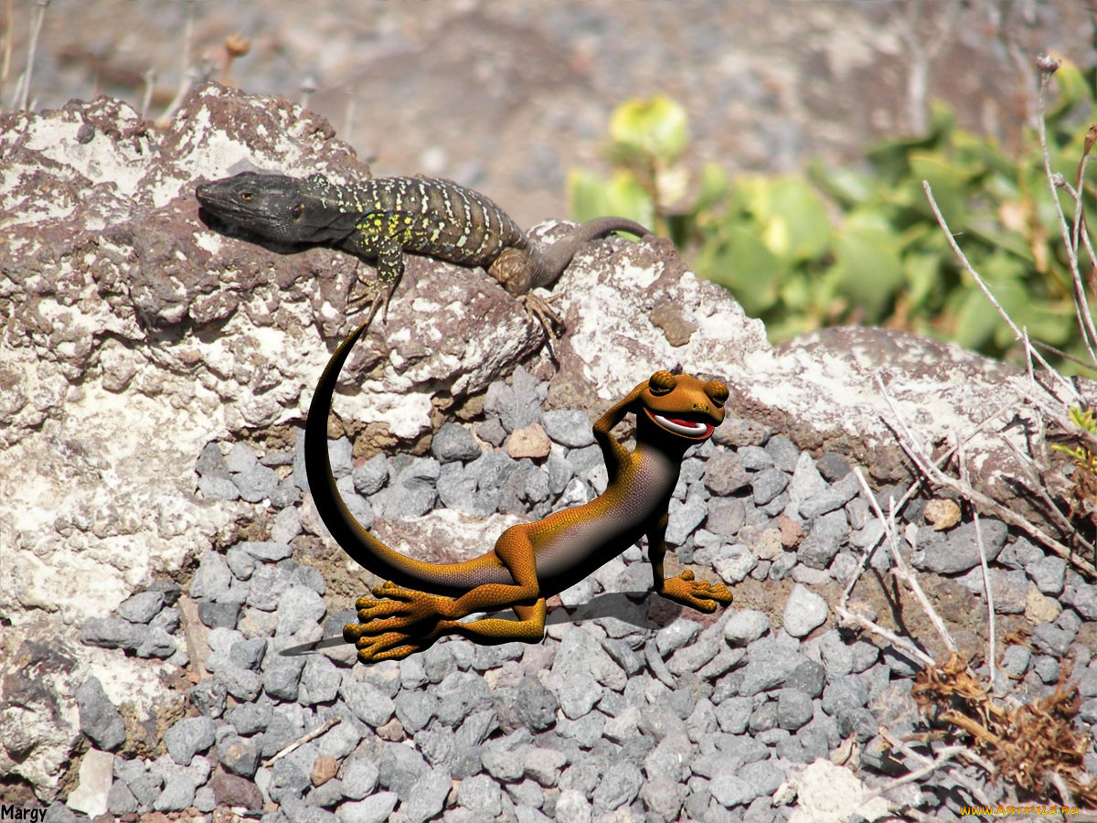 разное, компьютерный, дизайн