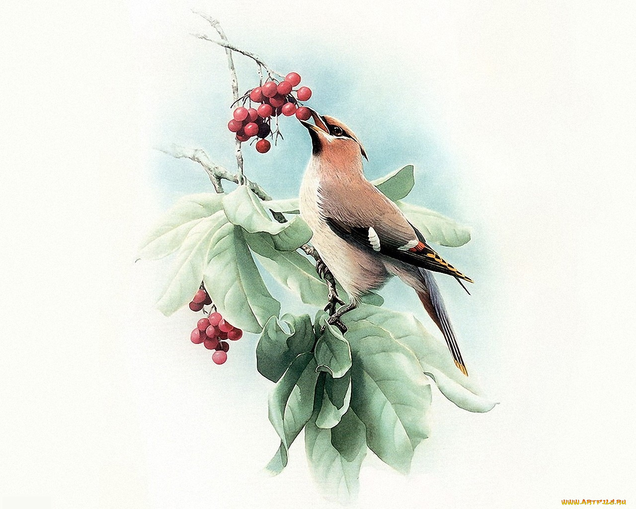 рисованные, животные