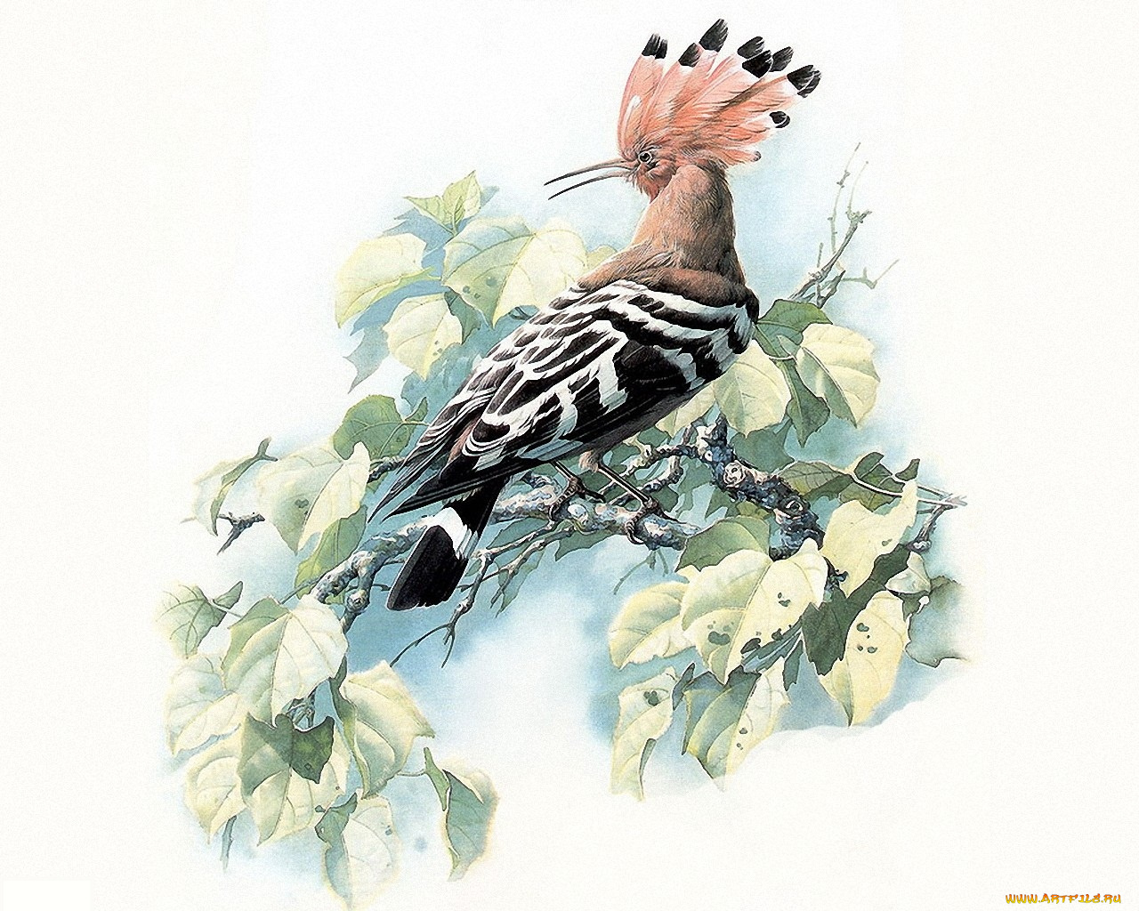 рисованные, животные