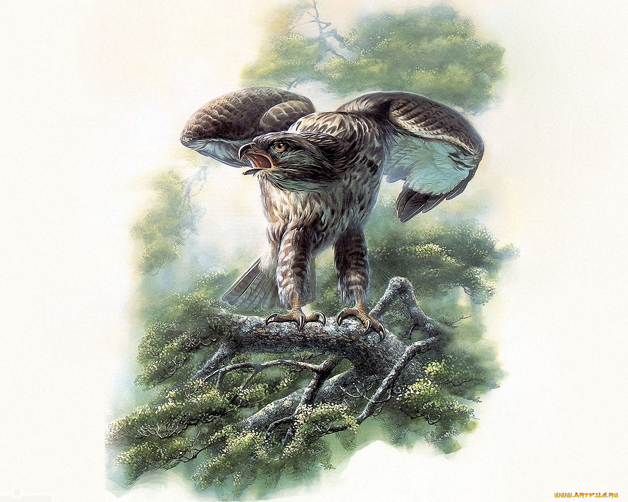 рисованные, животные