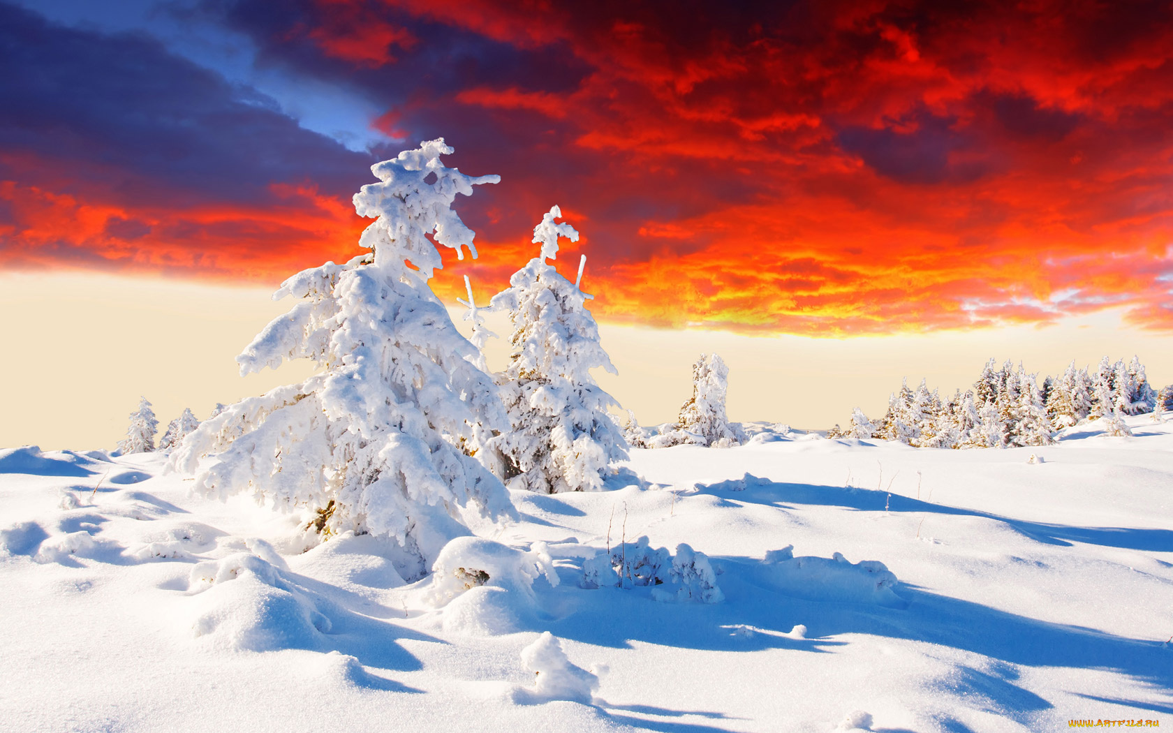 природа, зима