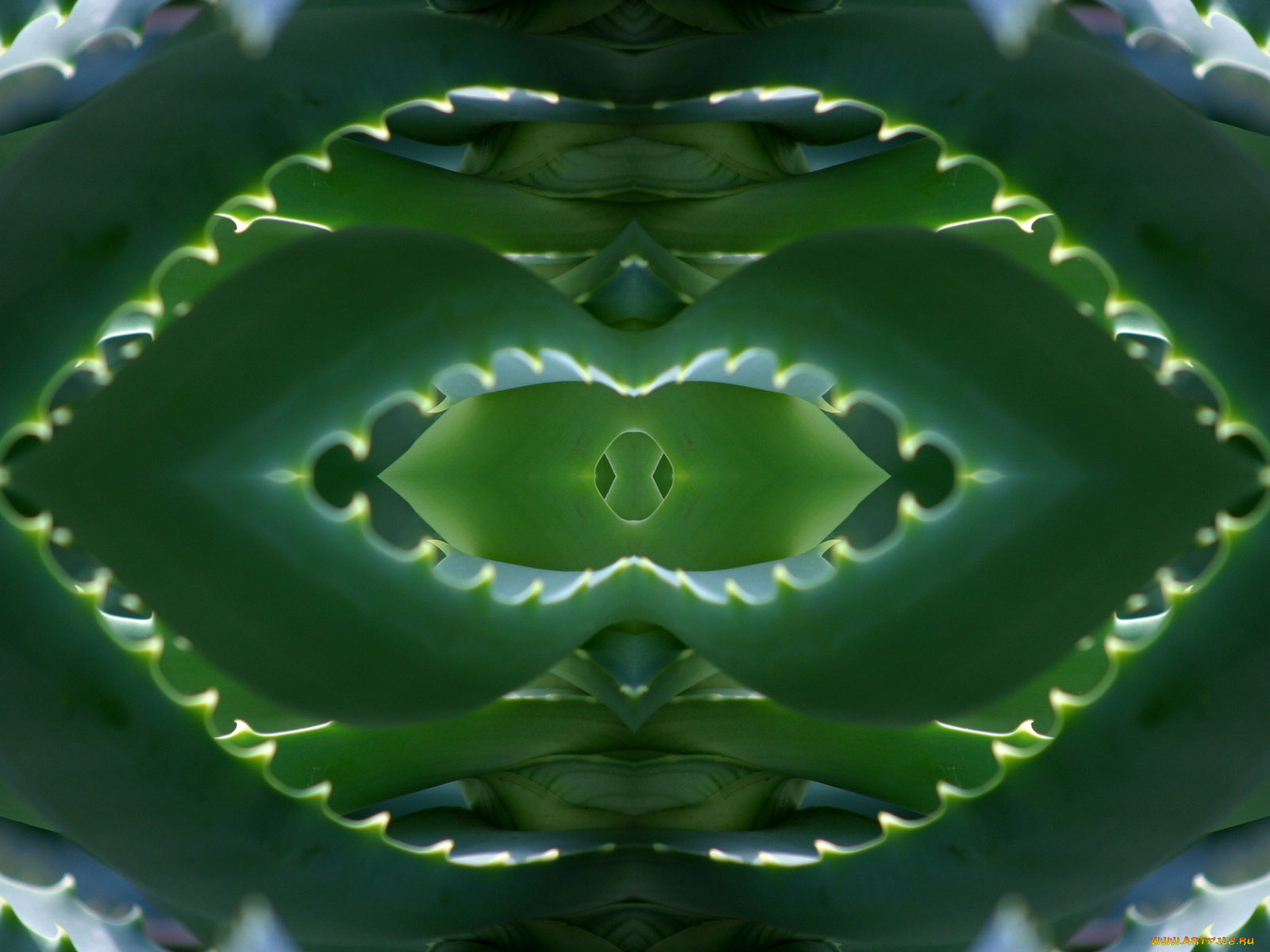 3д, графика, fractal, фракталы, фон