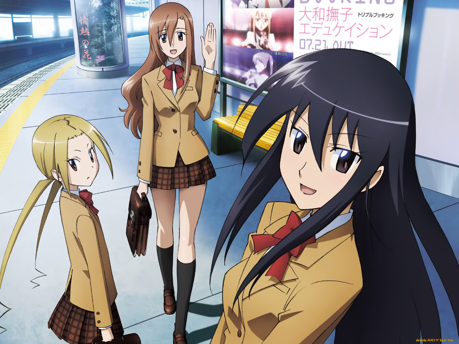 члены, школьного, совета, аниме, seitokai, yakuindomo