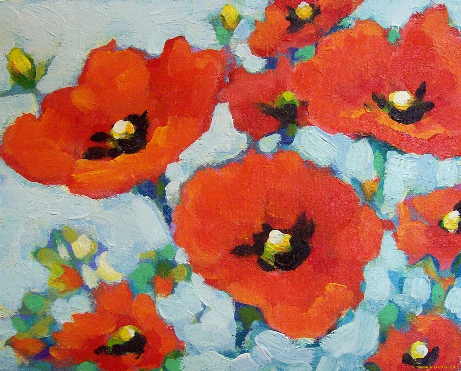 maggie, ruley, рисованные, маки