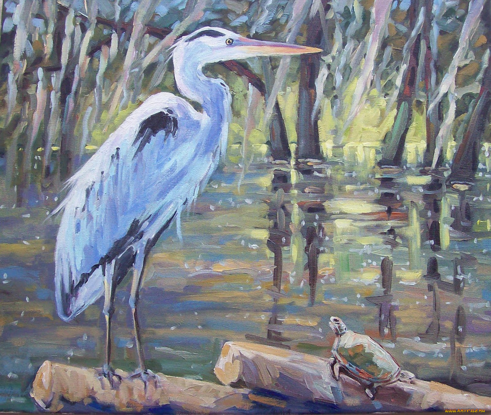 maggie, ruley, рисованные, цапля, и, черепаха