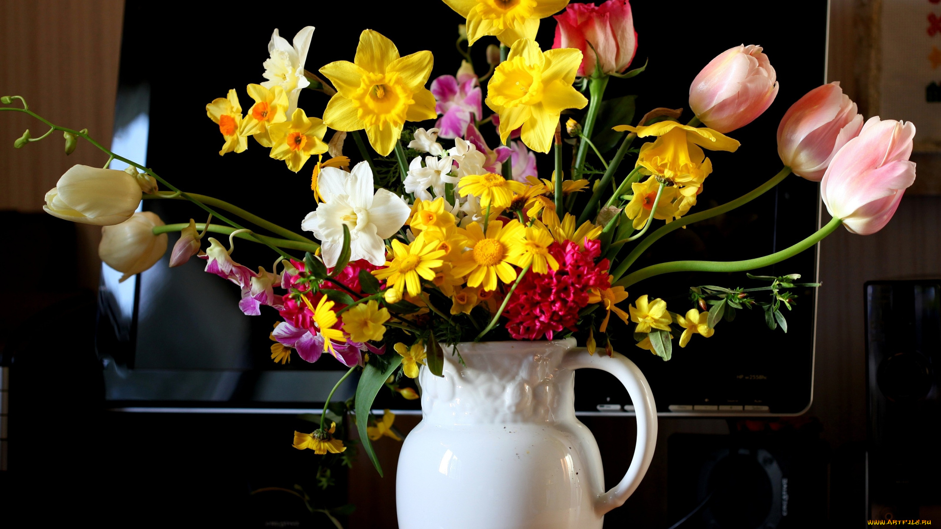 цветы, букеты, композиции, монитор, кувшин, нарциссы, тюльпаны