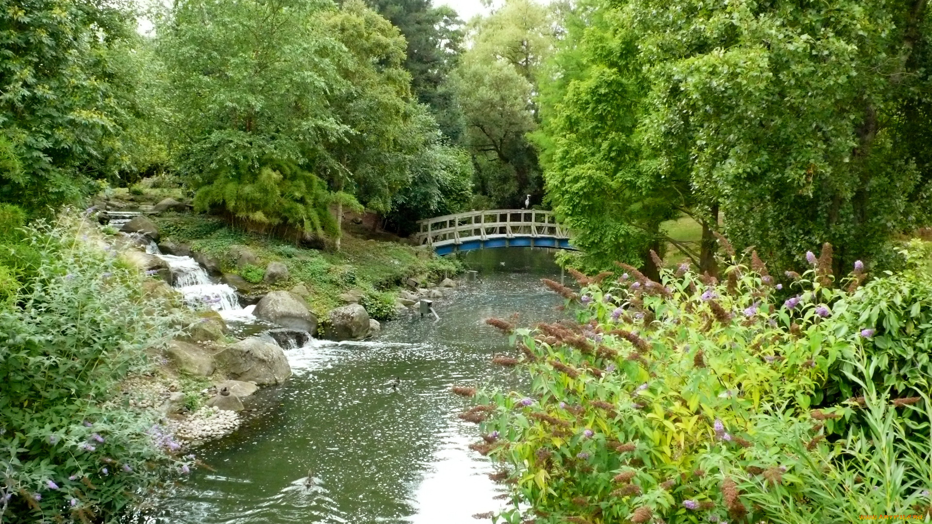 природа, парк, речка, мостик, деревья, цветы