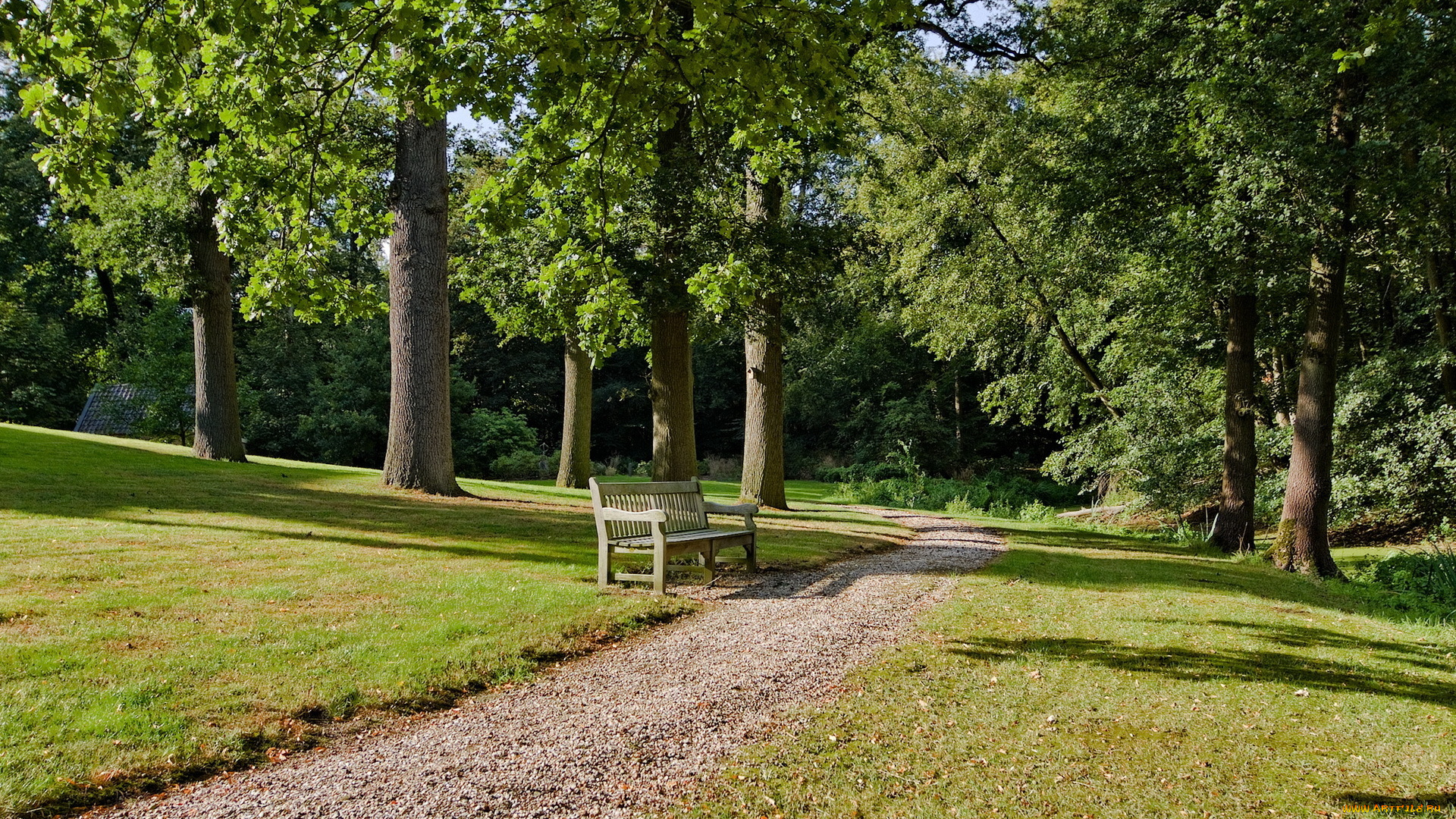 природа, парк, скамья, дорога