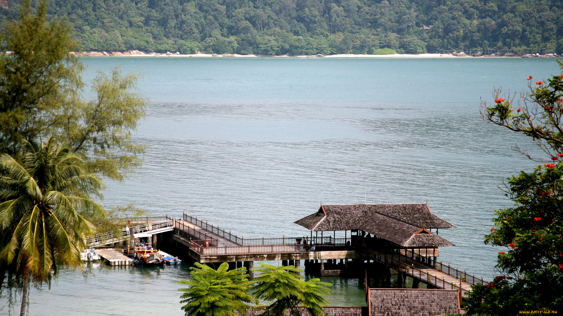 природа, реки, озера, лодка, мостки, деревья, озеро