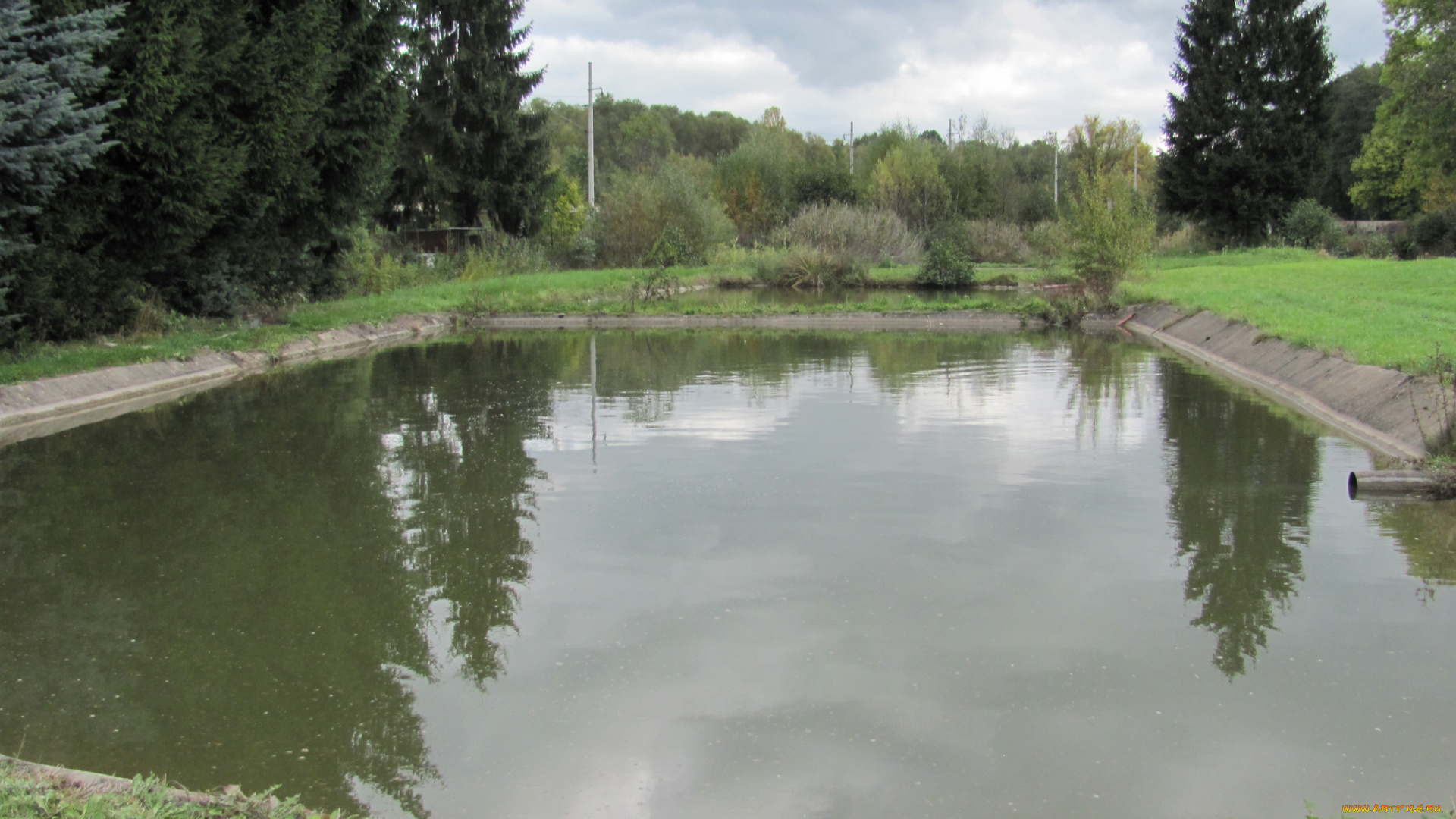 природа, реки, озера, пруд, трава, отражение, деревья