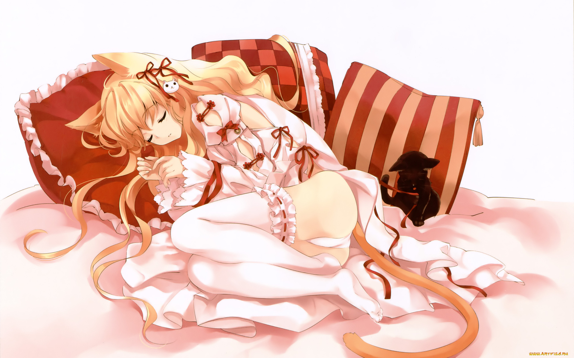 аниме, animals, неко, котенок, подушки